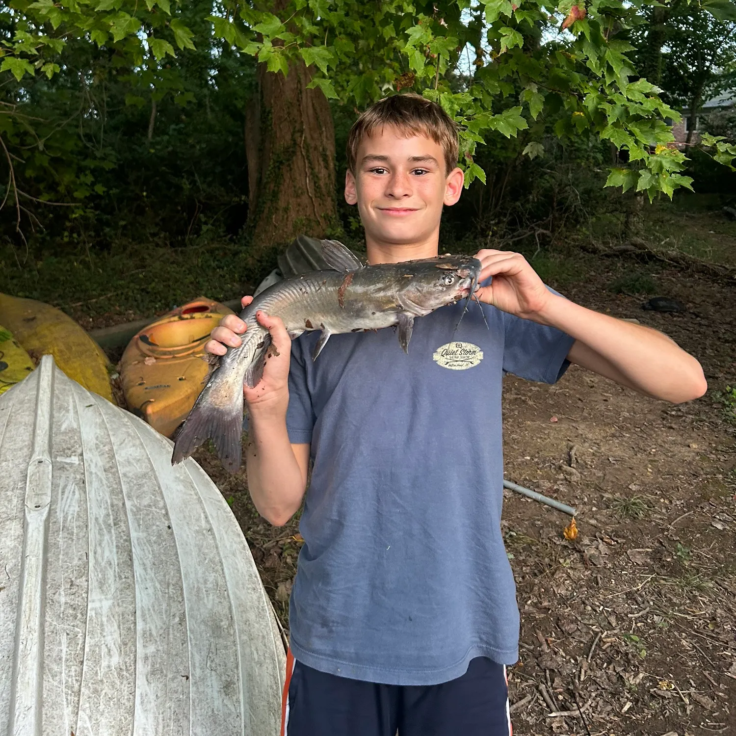 Channel catfish caught on Fishbrain