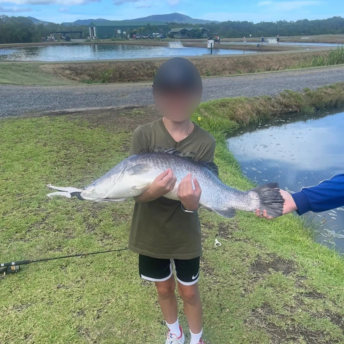 The most recent Barramundi catches on Fishbrain