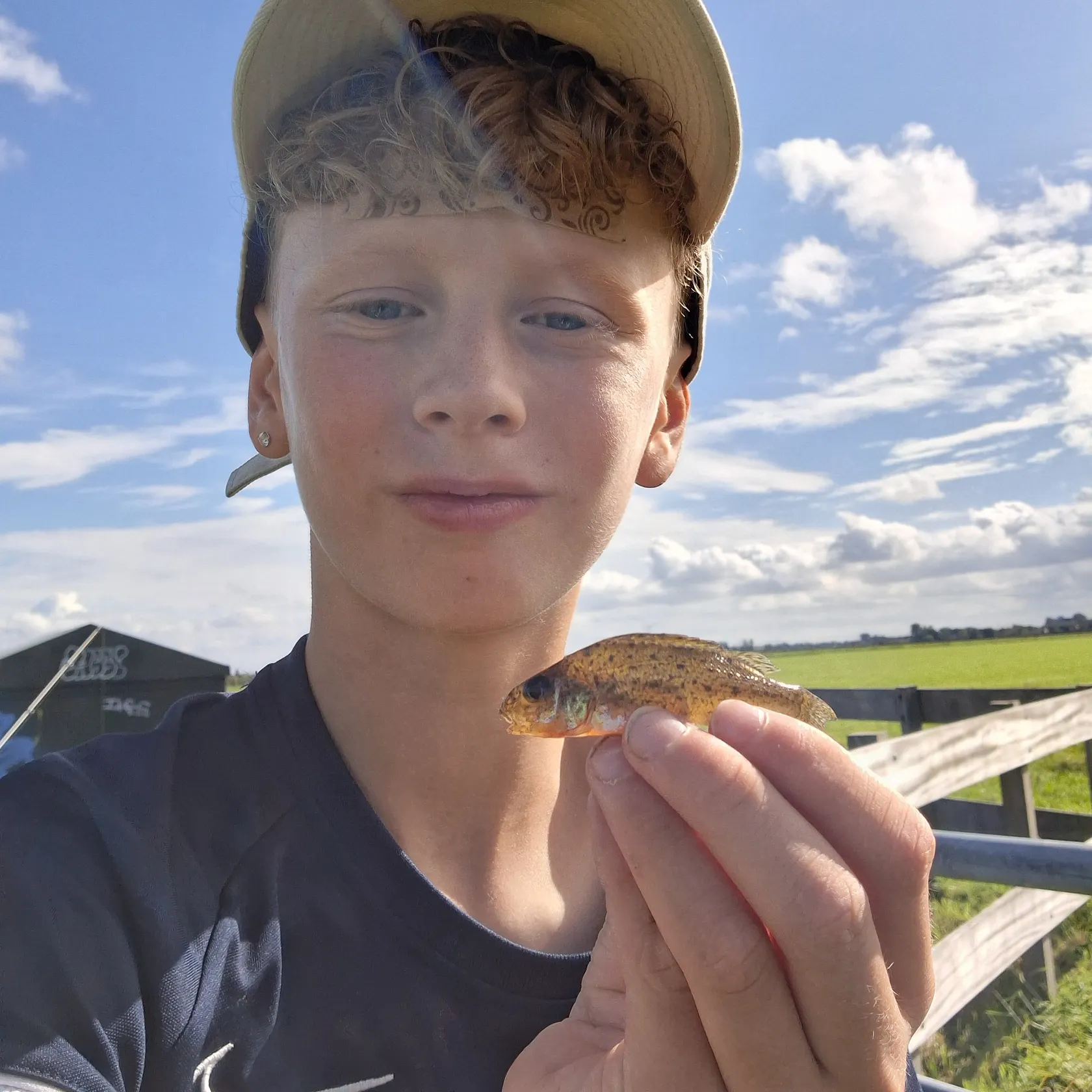Eurasian ruffe caught on Fishbrain