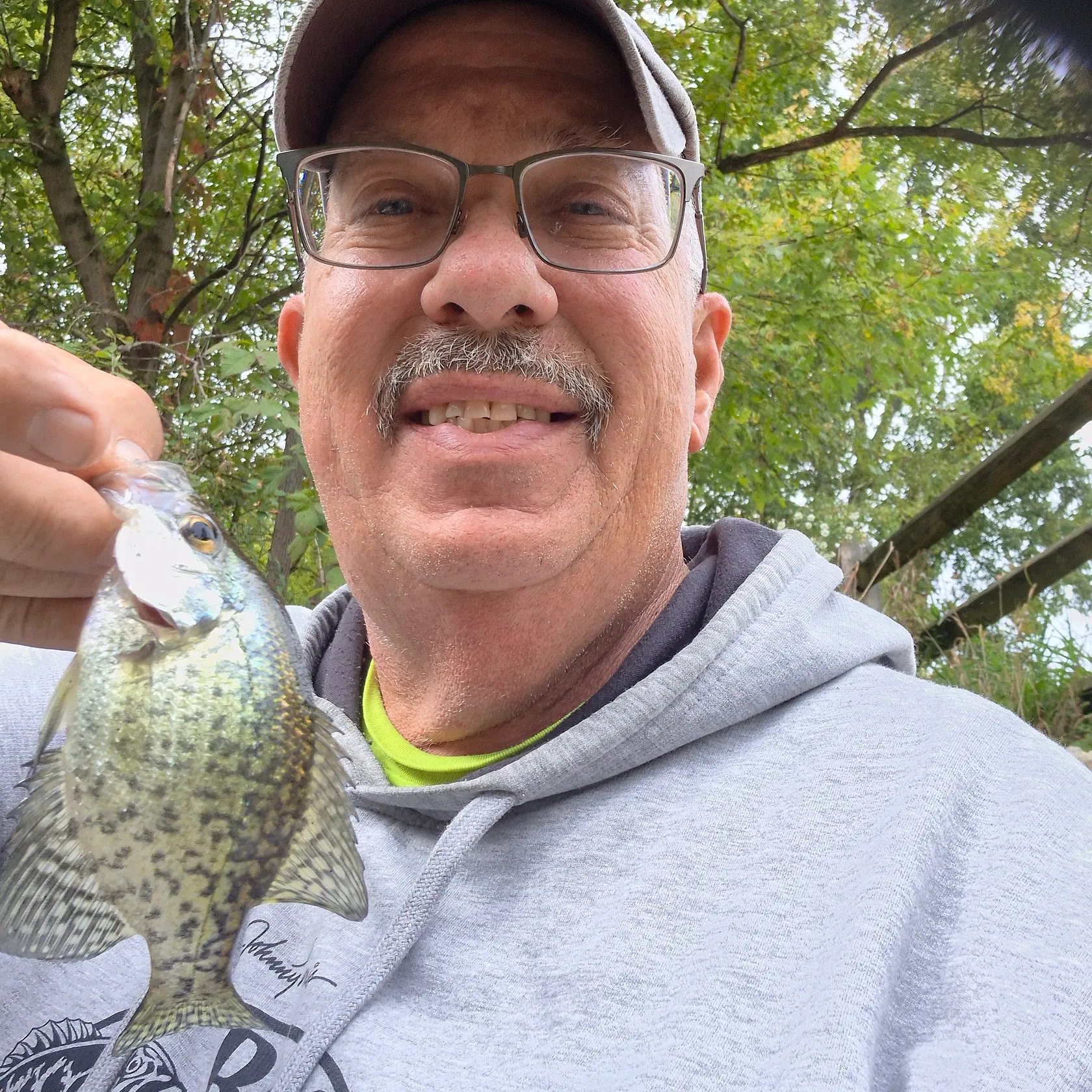 Black crappie caught on Fishbrain