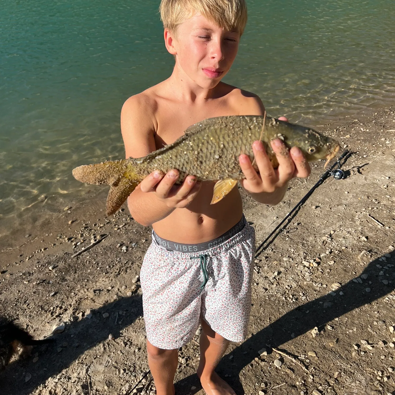 Common carp caught on Fishbrain