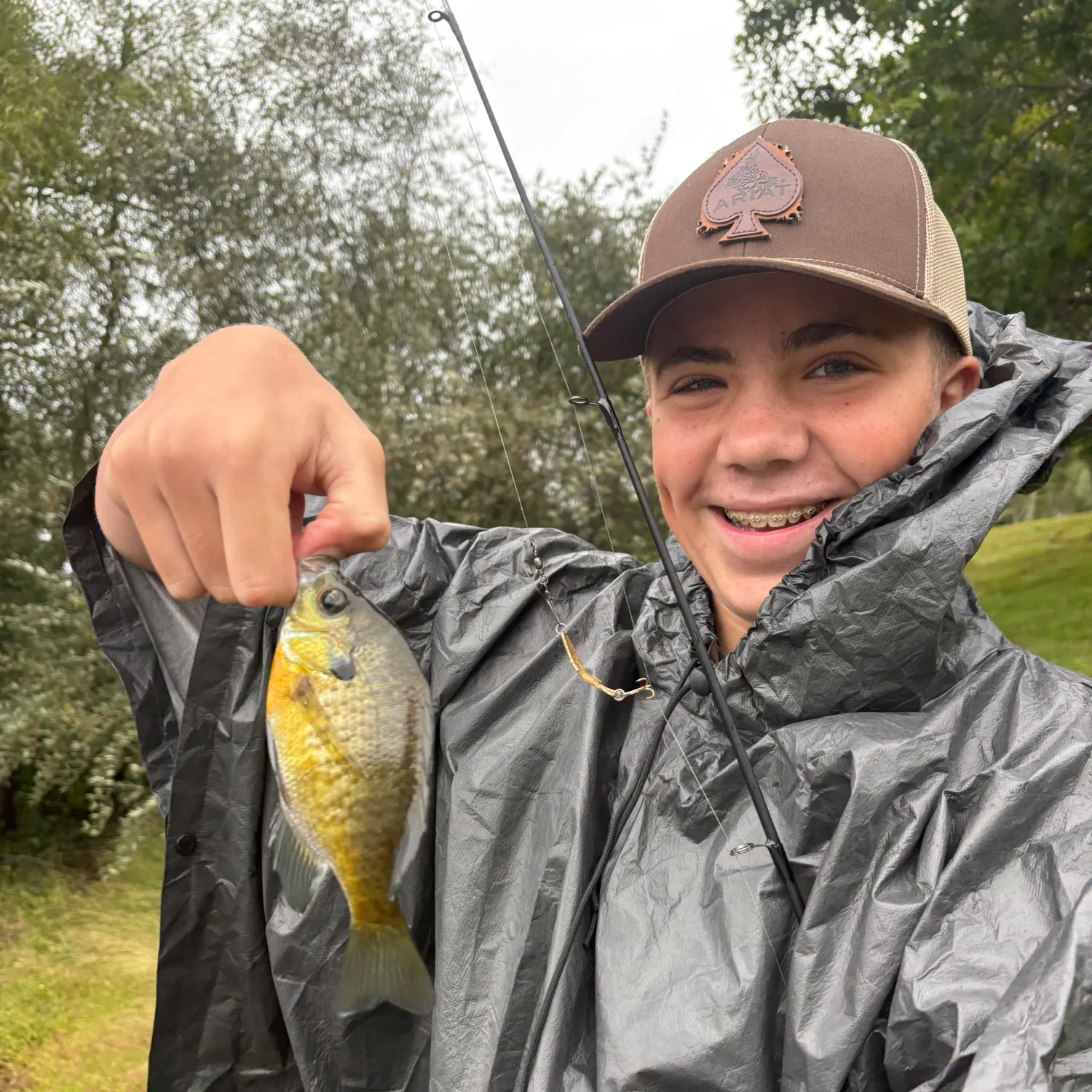 The most recent Northern sunfish catches on Fishbrain