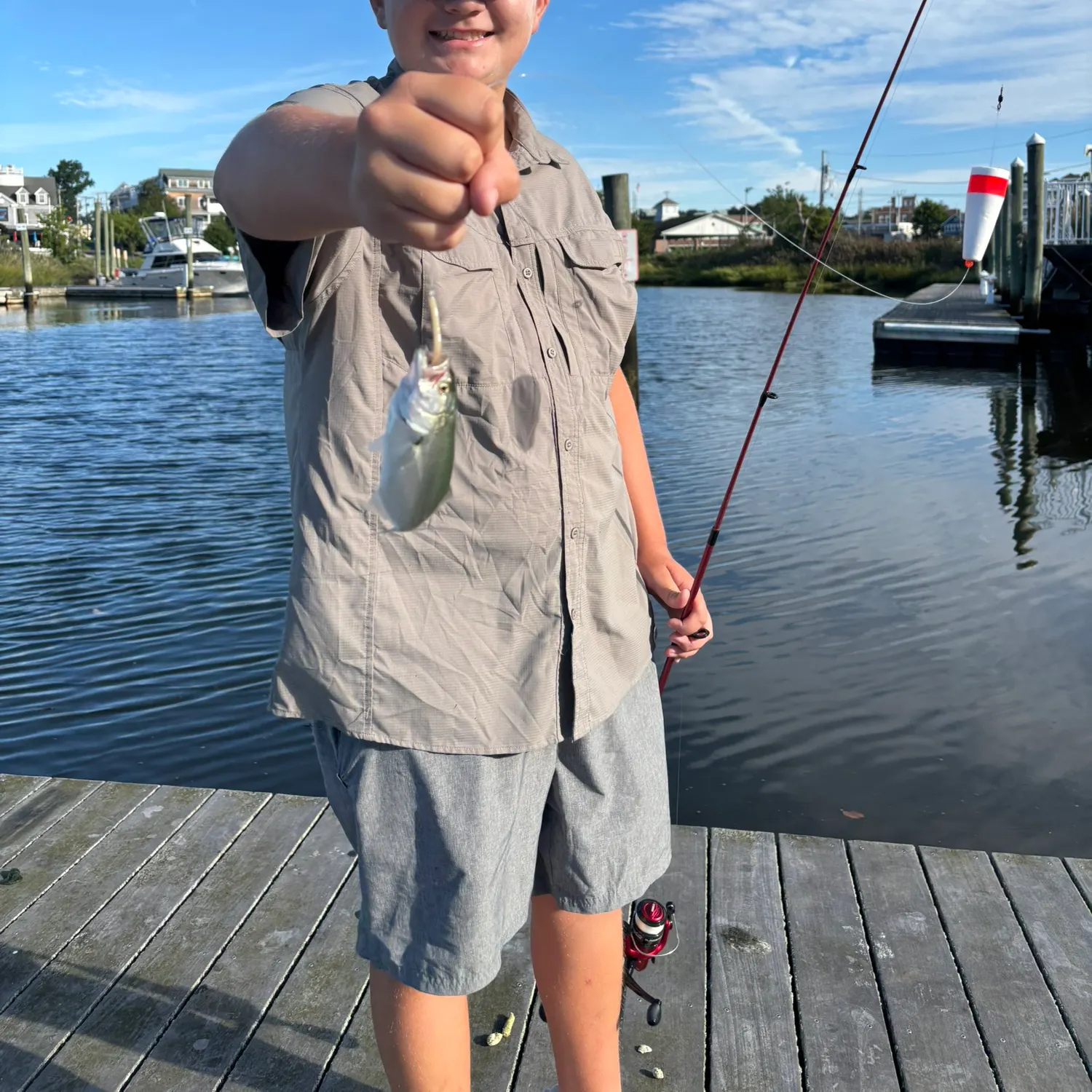 The most recent Striped shiner catches on Fishbrain