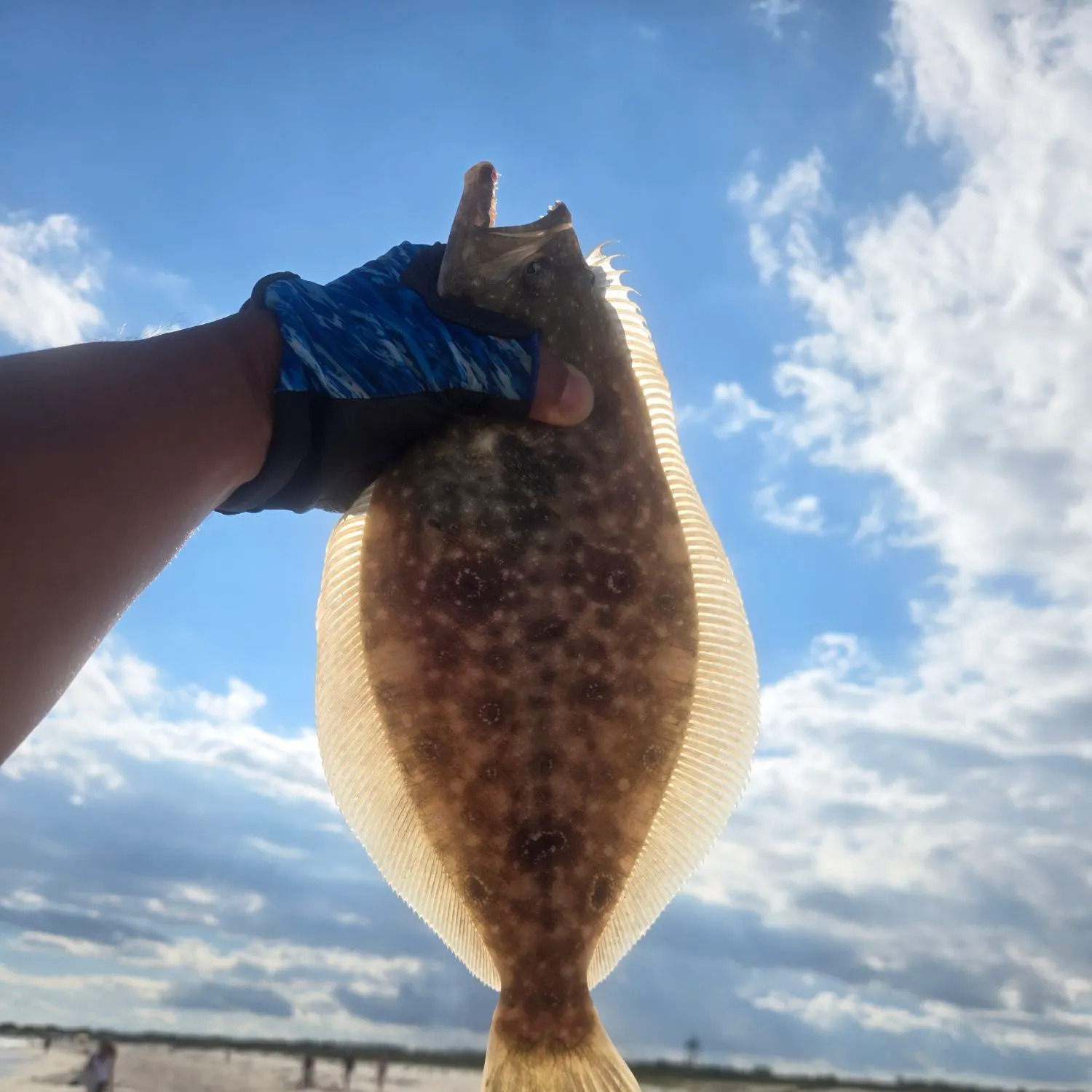 Summer flounder caught on Fishbrain