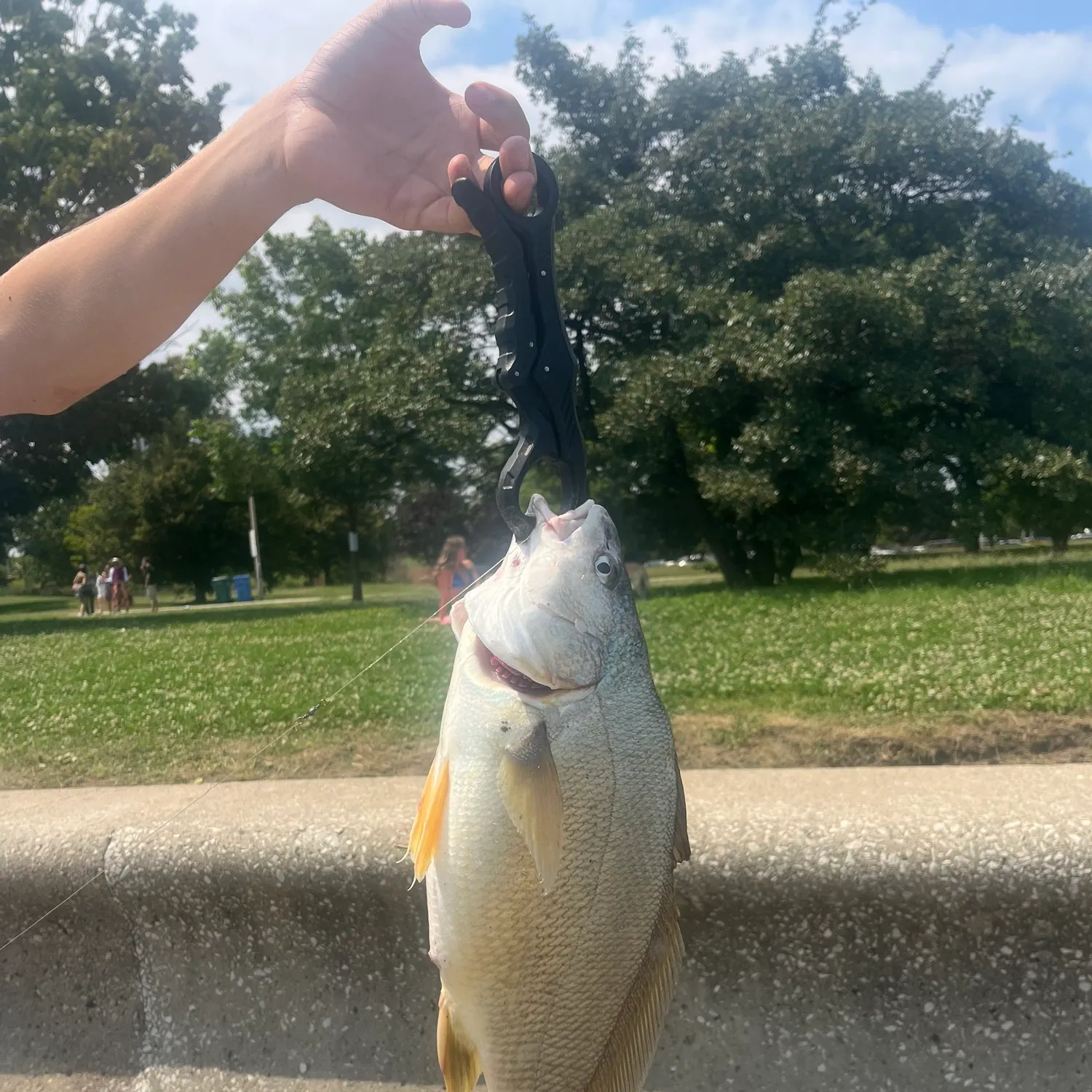 catch