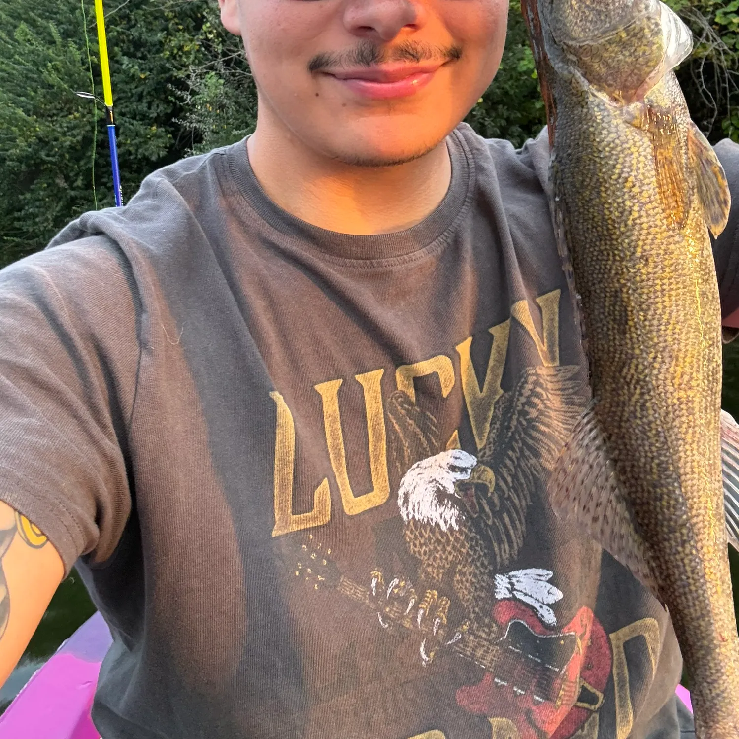Sauger caught on Fishbrain