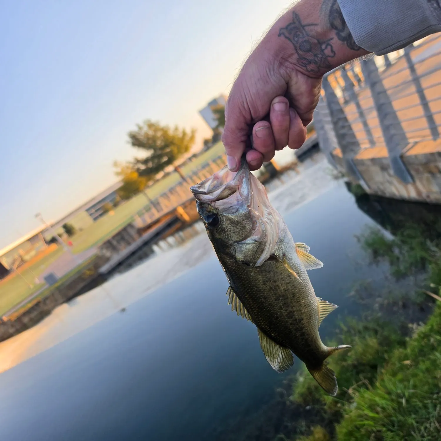 catch
