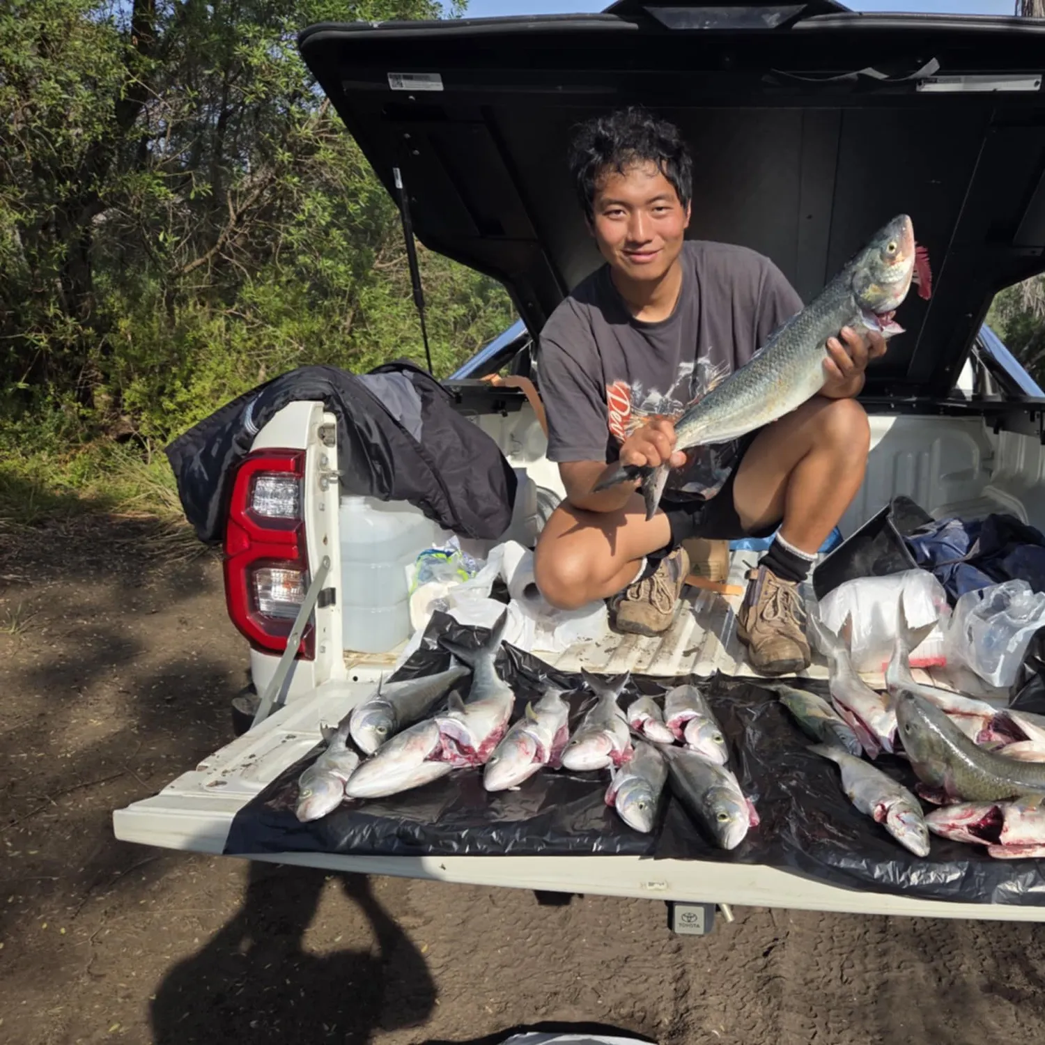 recently logged catches