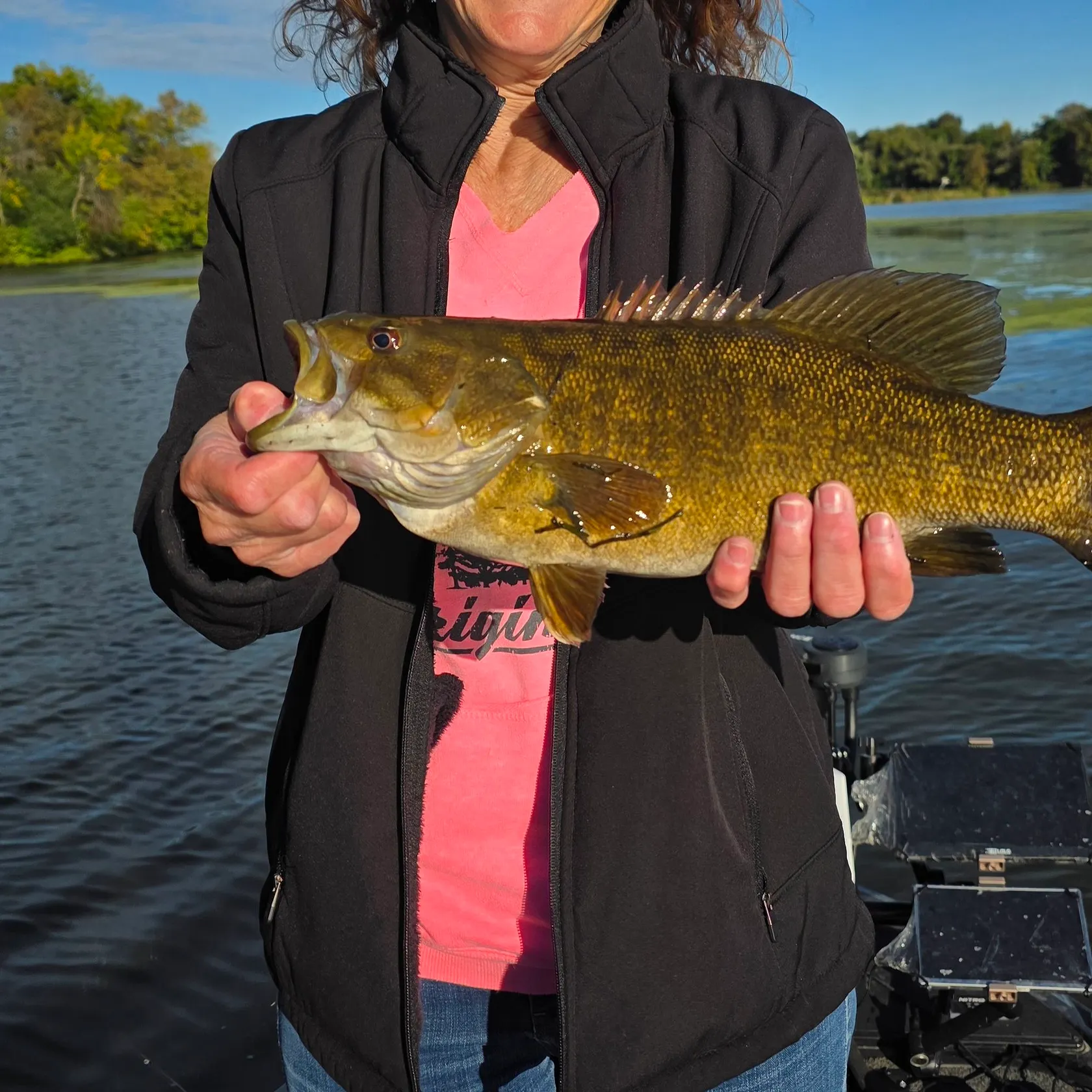 Smallmouth bass caught on Fishbrain