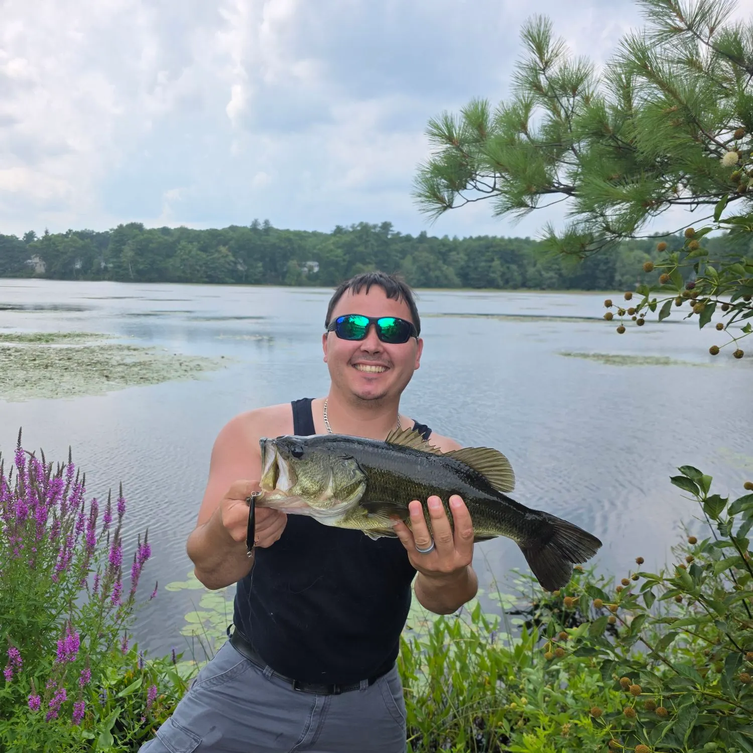 Largemouth bass caught on Fishbrain