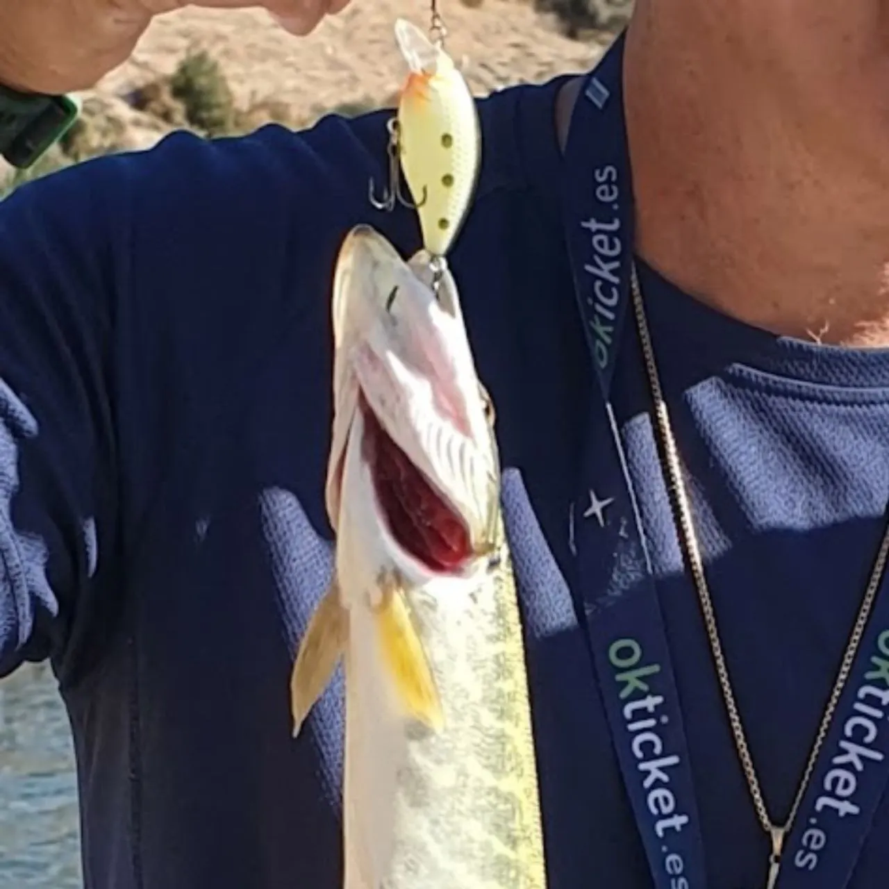 Northern pike caught on Fishbrain