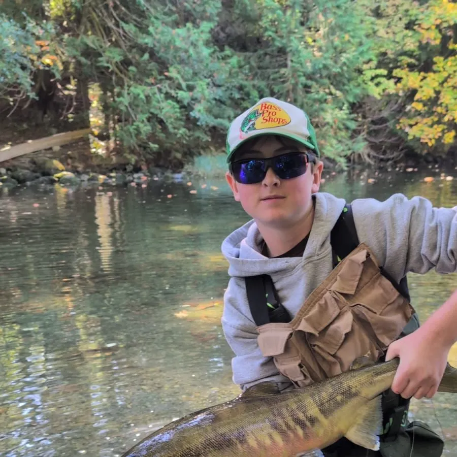 Chum salmon caught on Fishbrain