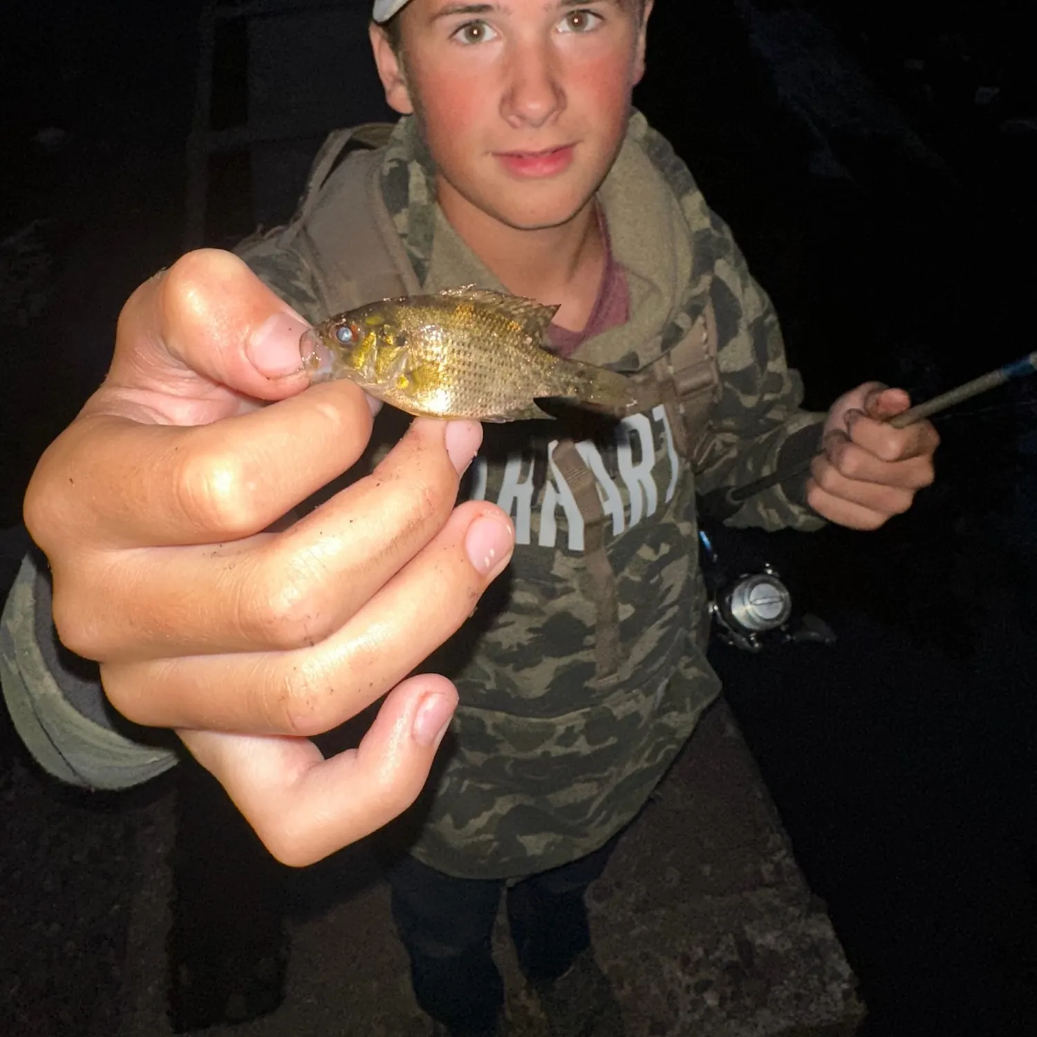 Rock bass caught on Fishbrain