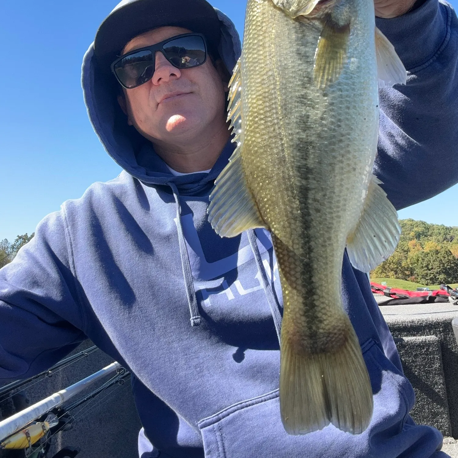 Largemouth bass caught on Fishbrain