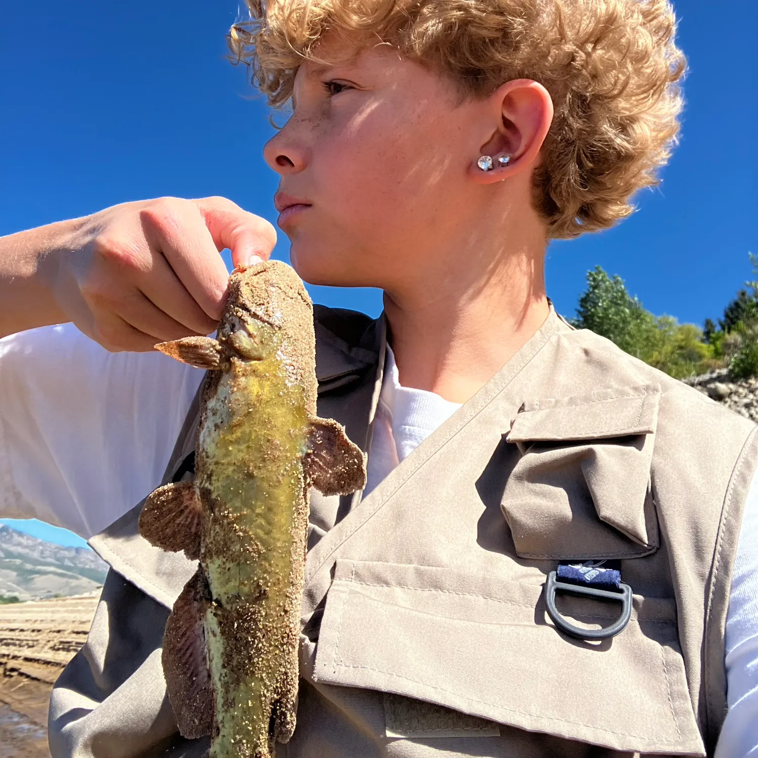 Channel catfish caught on Fishbrain
