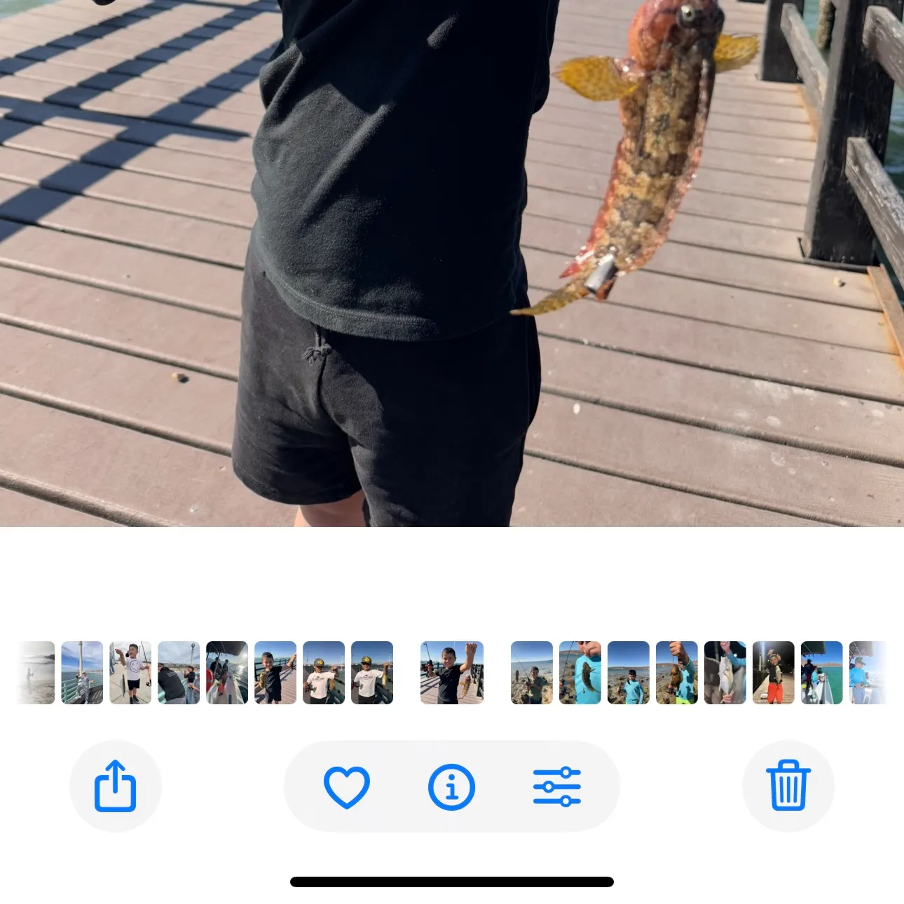 recently logged catches