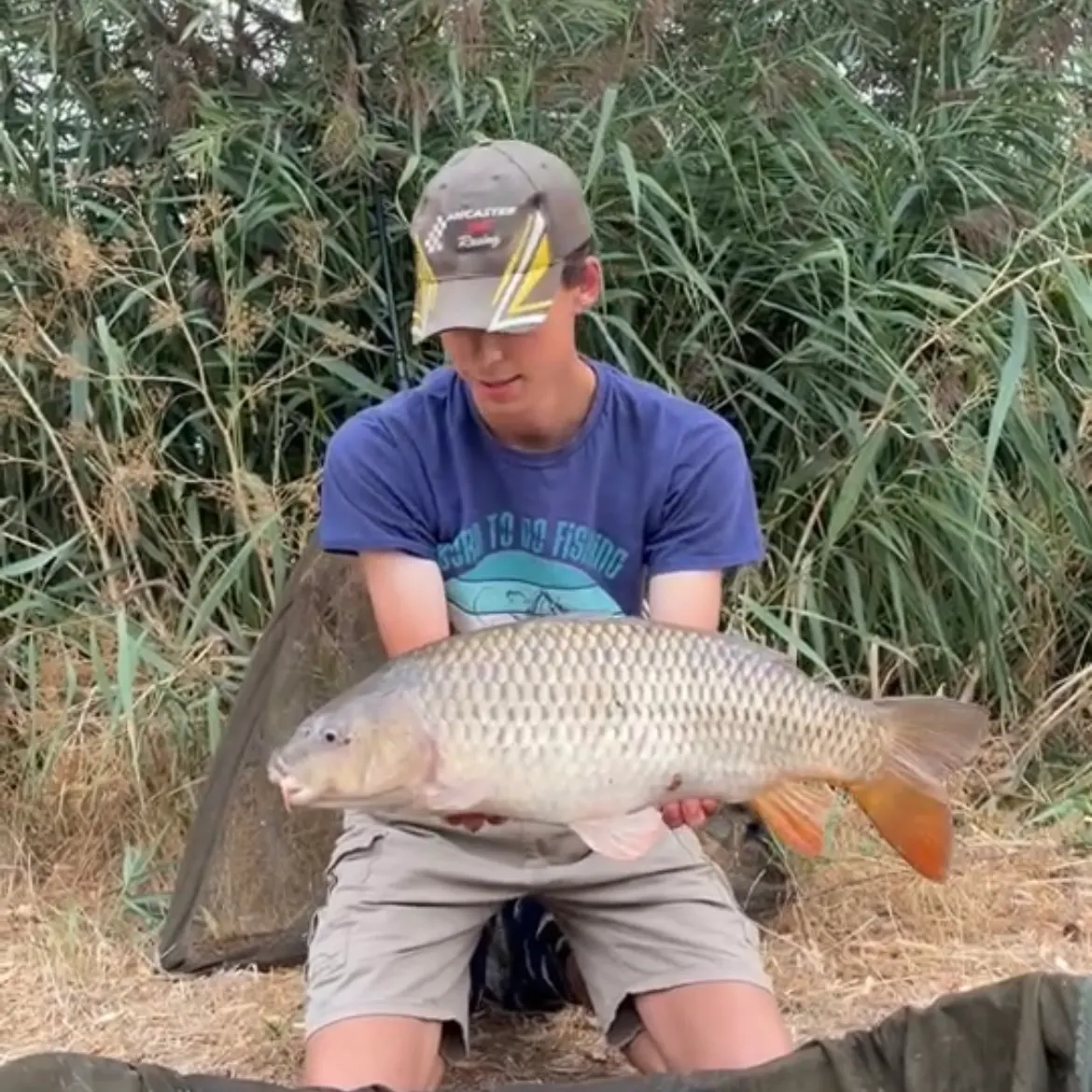 Common carp caught on Fishbrain