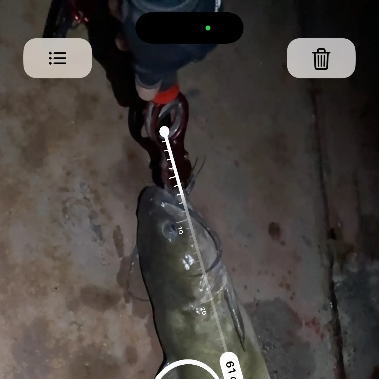 recently logged catches
