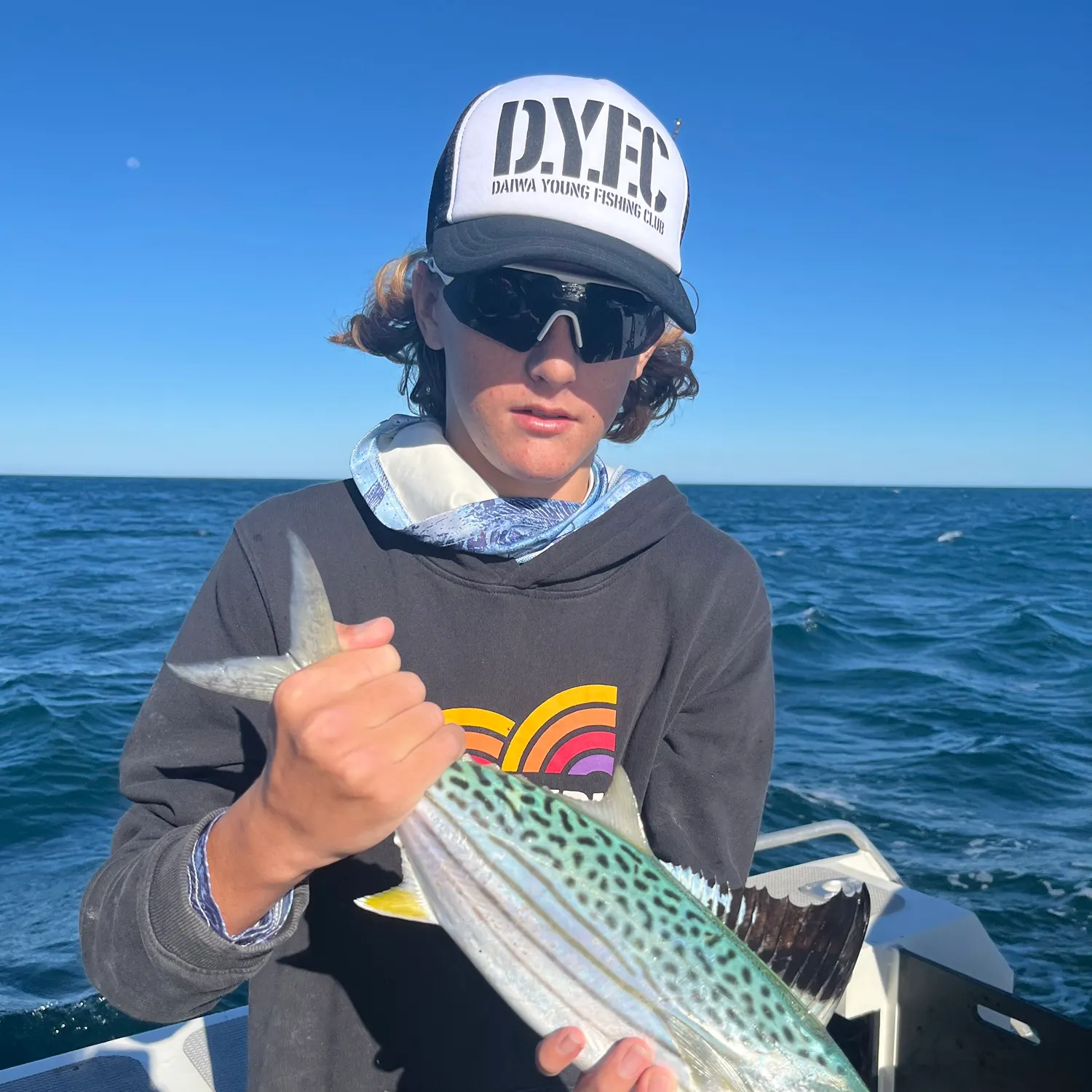 The most recent Blue mackerel catches on Fishbrain
