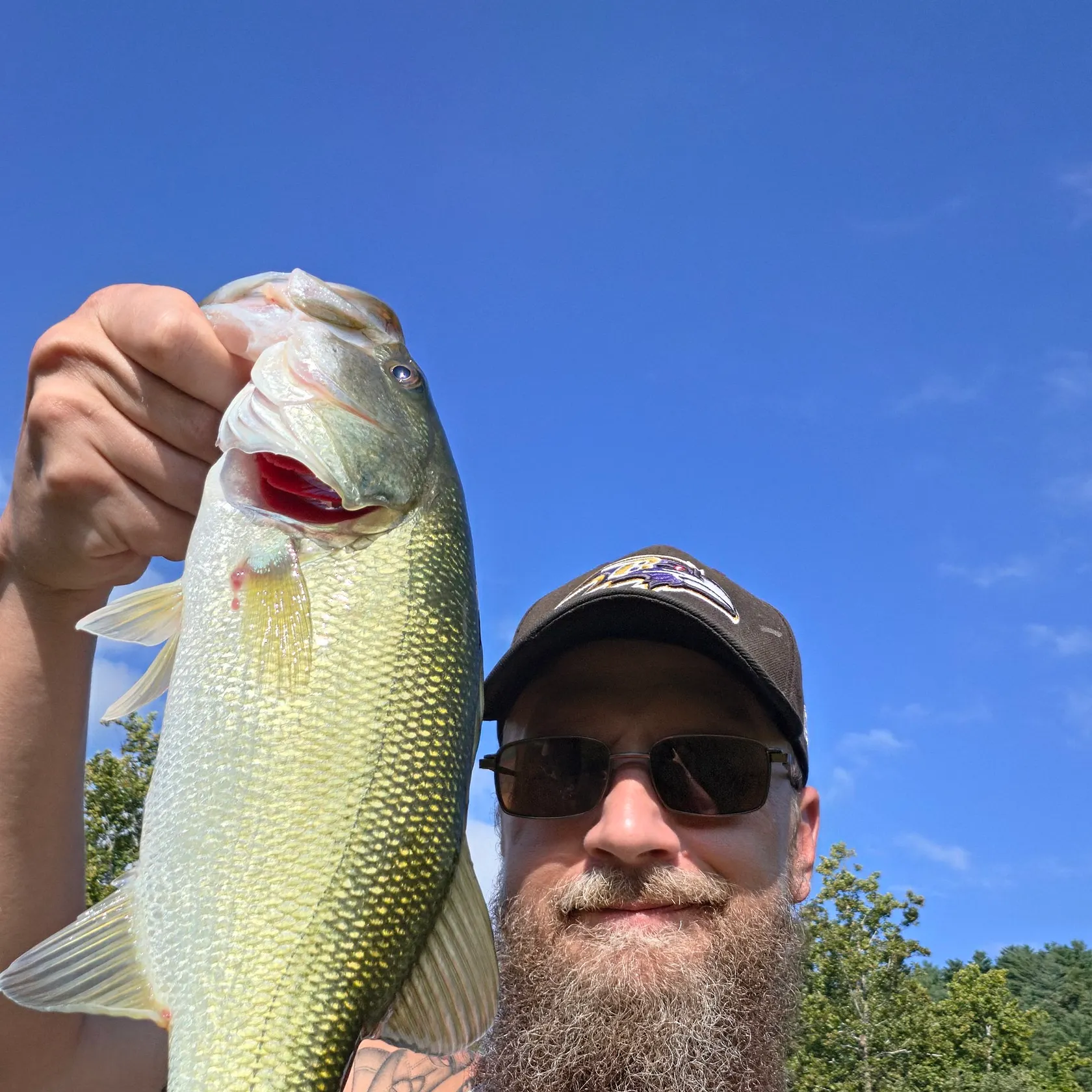 Spotted bass caught on Fishbrain