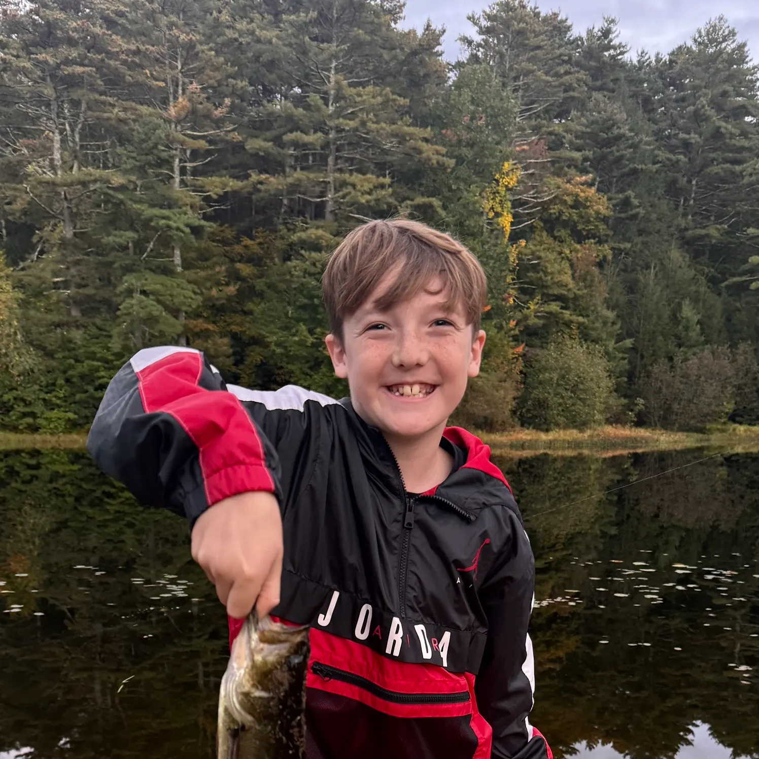 Smallmouth bass caught on Fishbrain