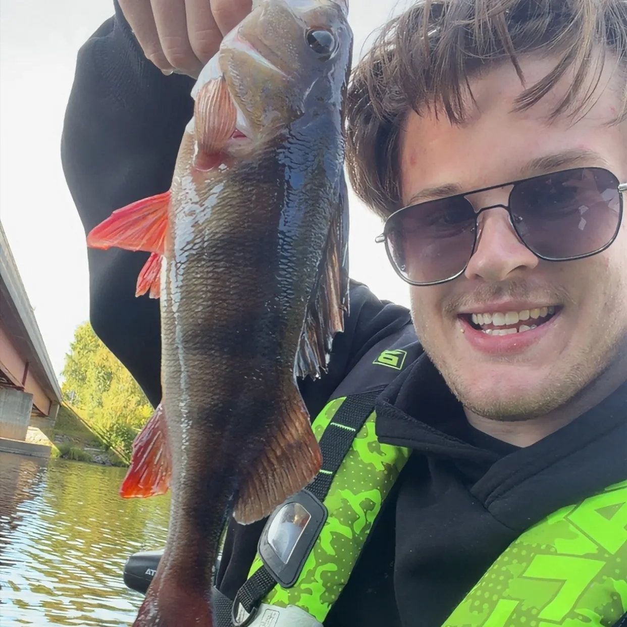 European perch caught on Fishbrain