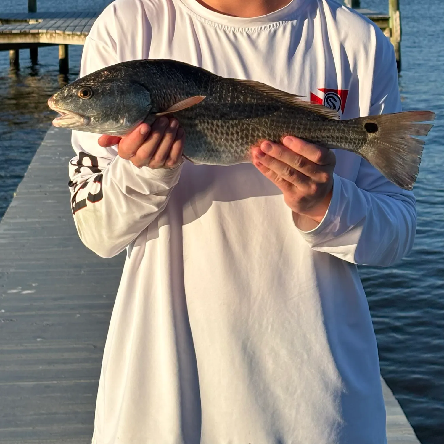 Red drum caught on Fishbrain