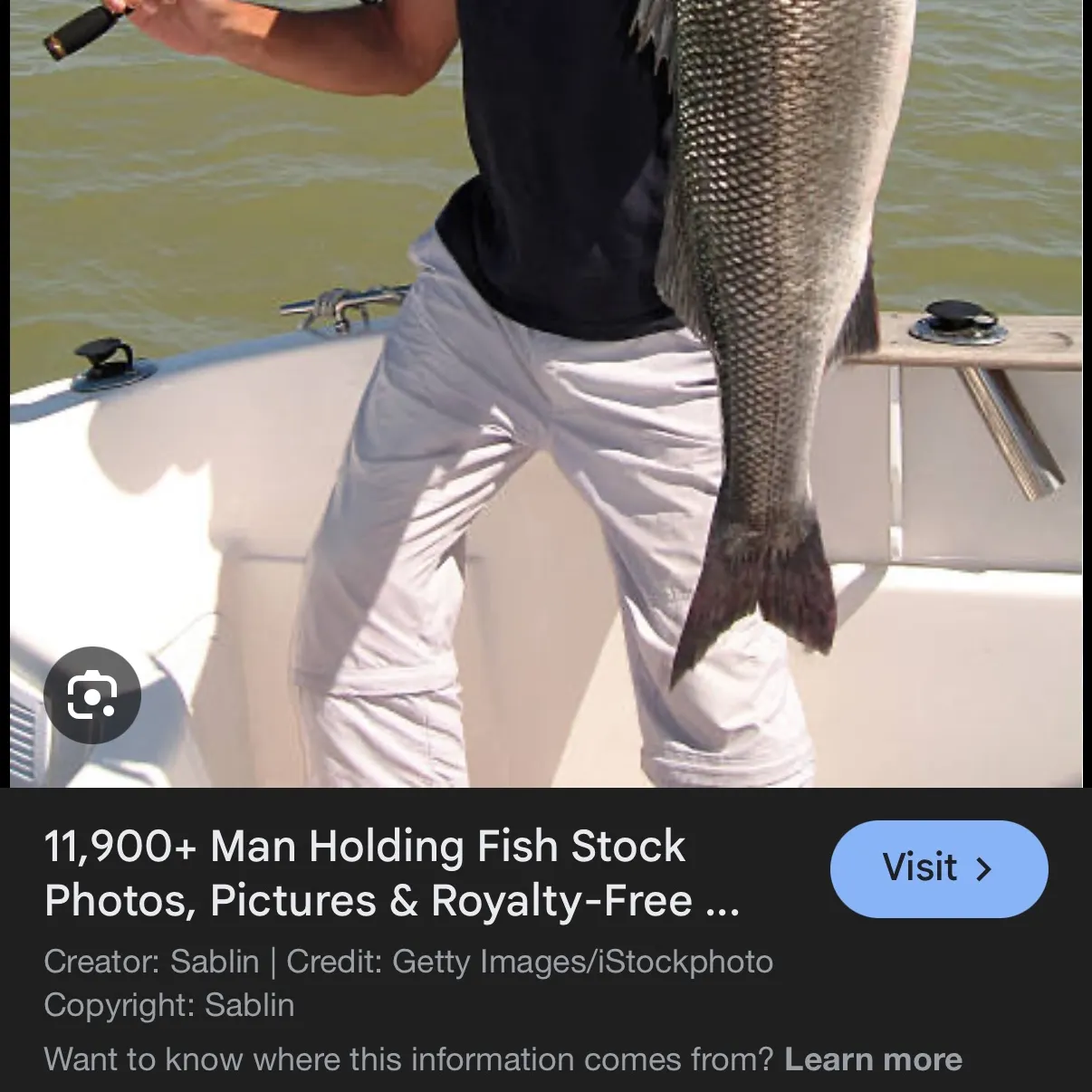 The most recent Slippery dick wrasse catches on Fishbrain