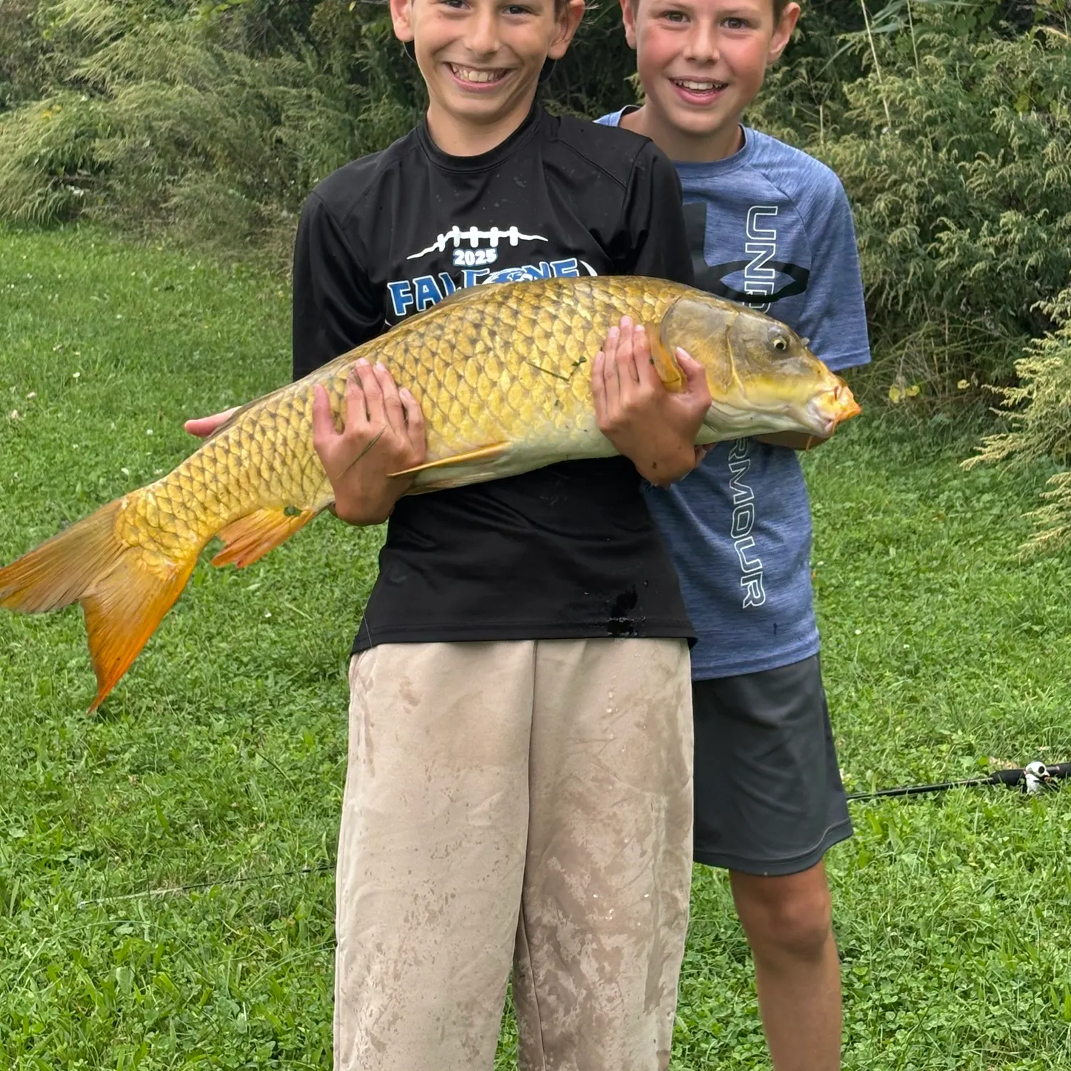 Common carp caught on Fishbrain