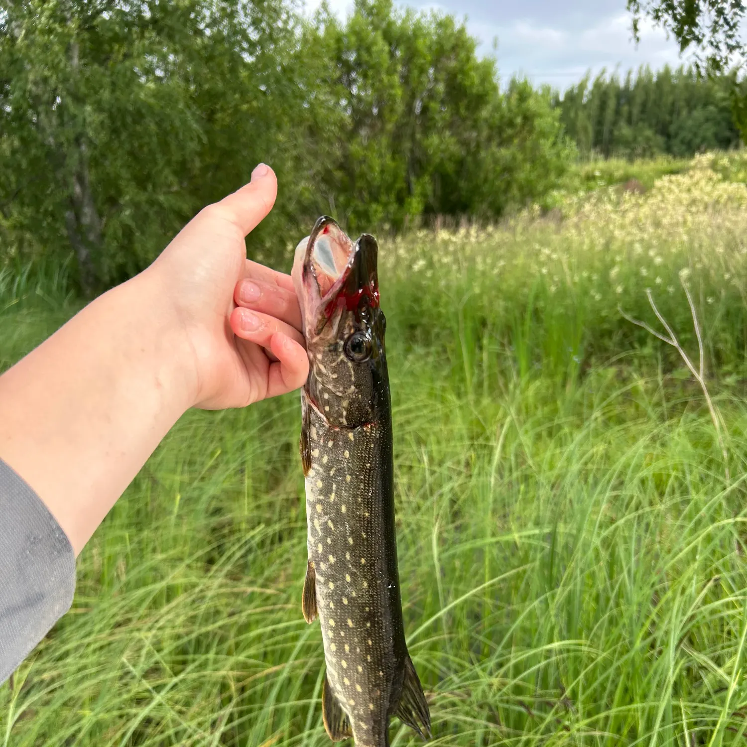 catch