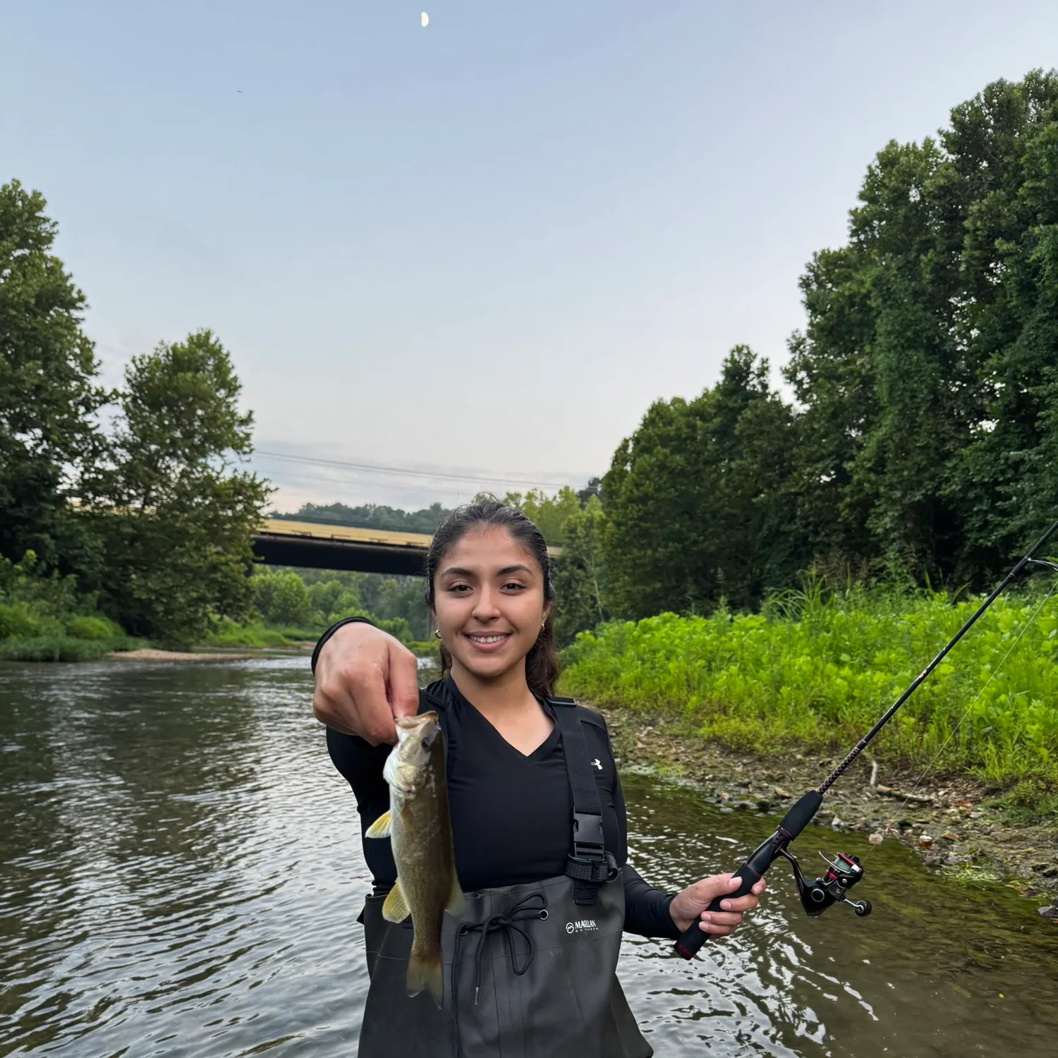 The most recent Smallmouth bass catches on Fishbrain