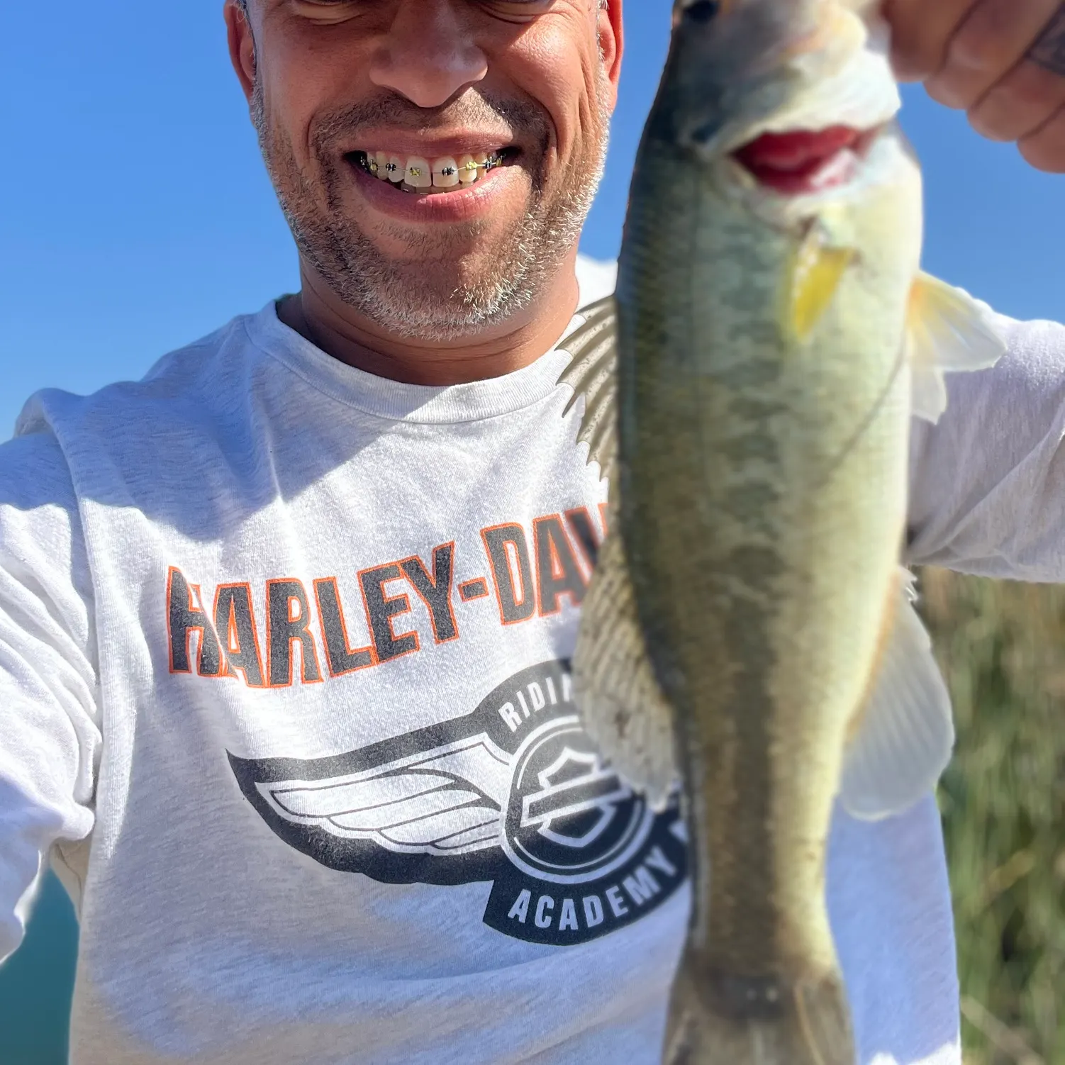 The most recent Alabama bass catches on Fishbrain
