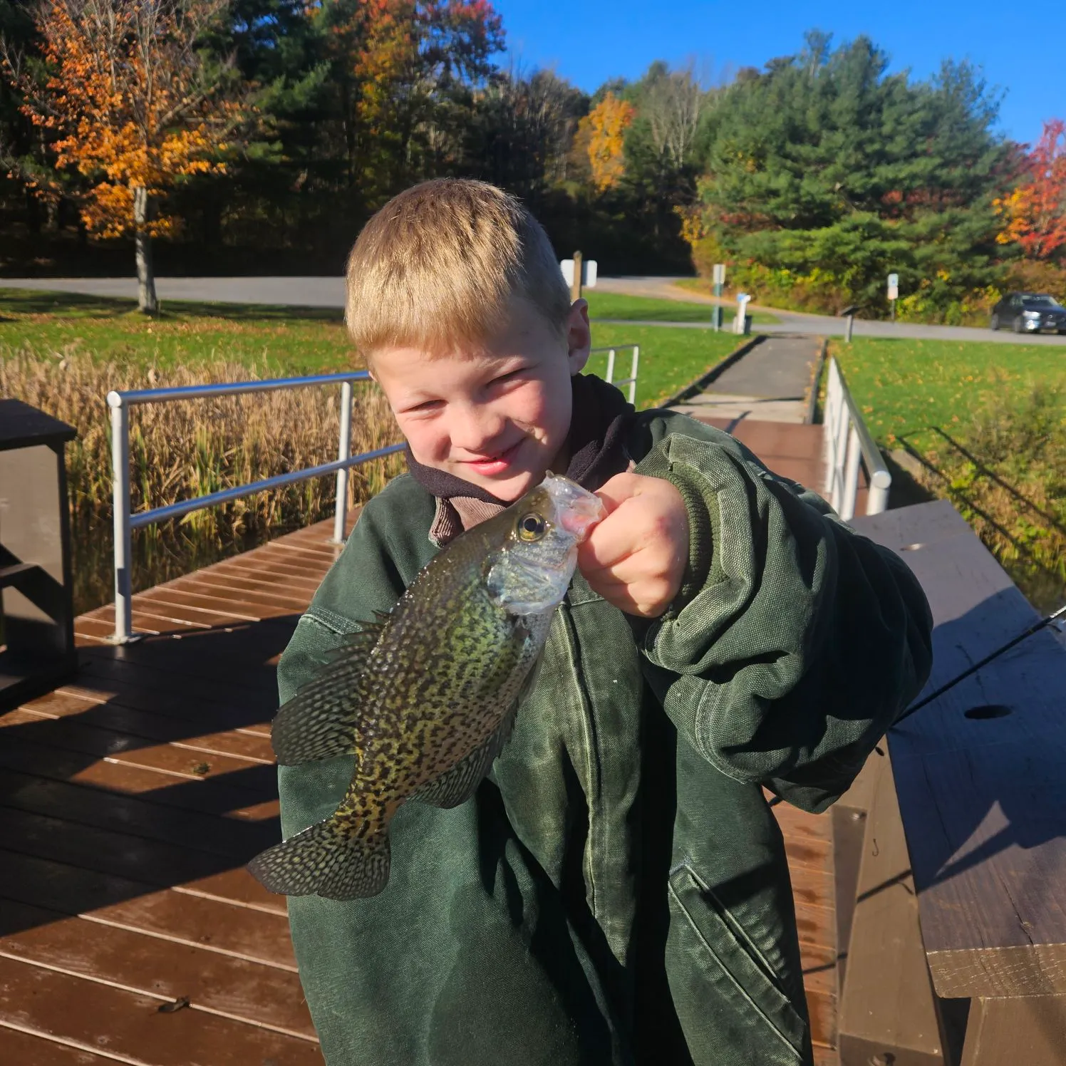 Black crappie caught on Fishbrain