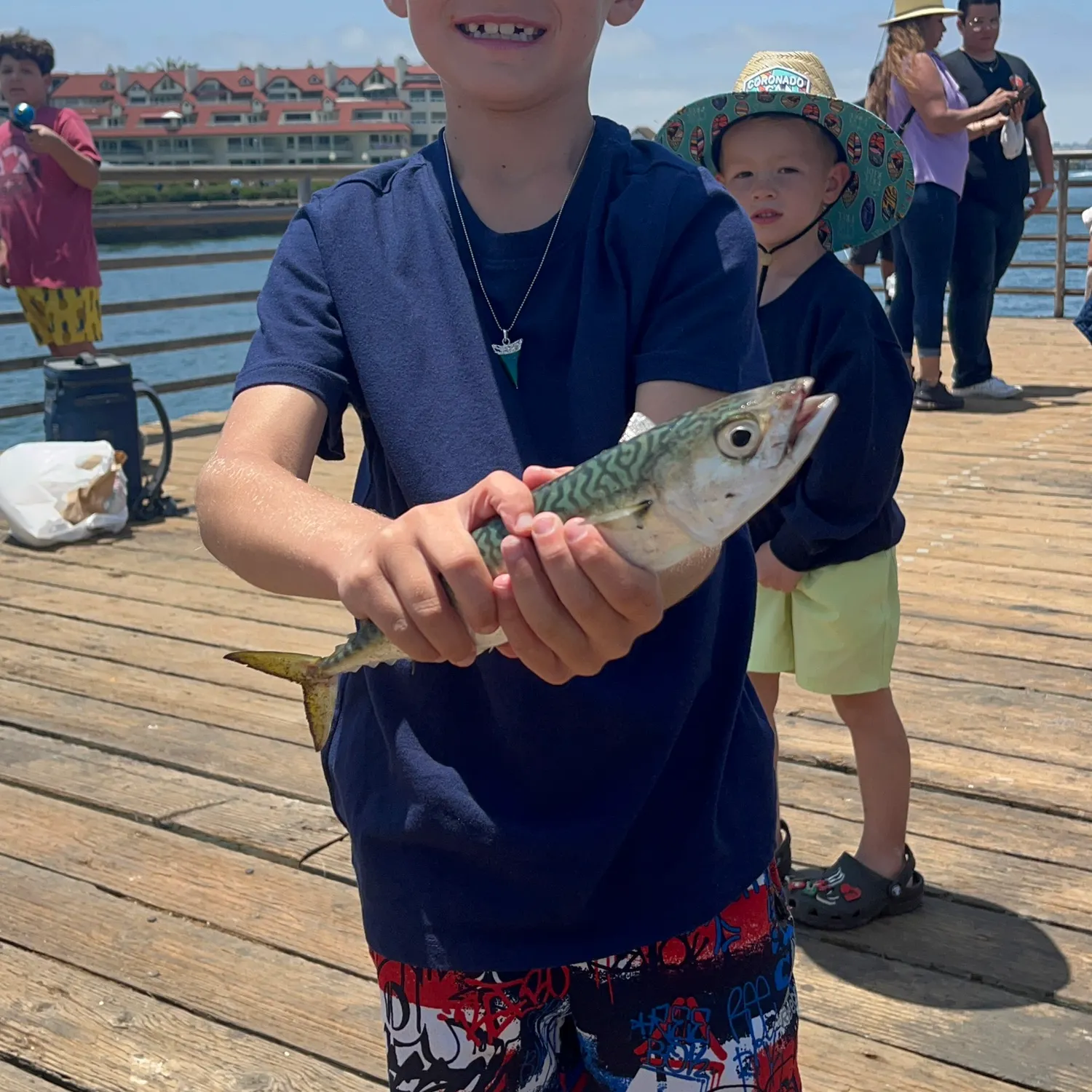 The most recent Atlantic mackerel catches on Fishbrain