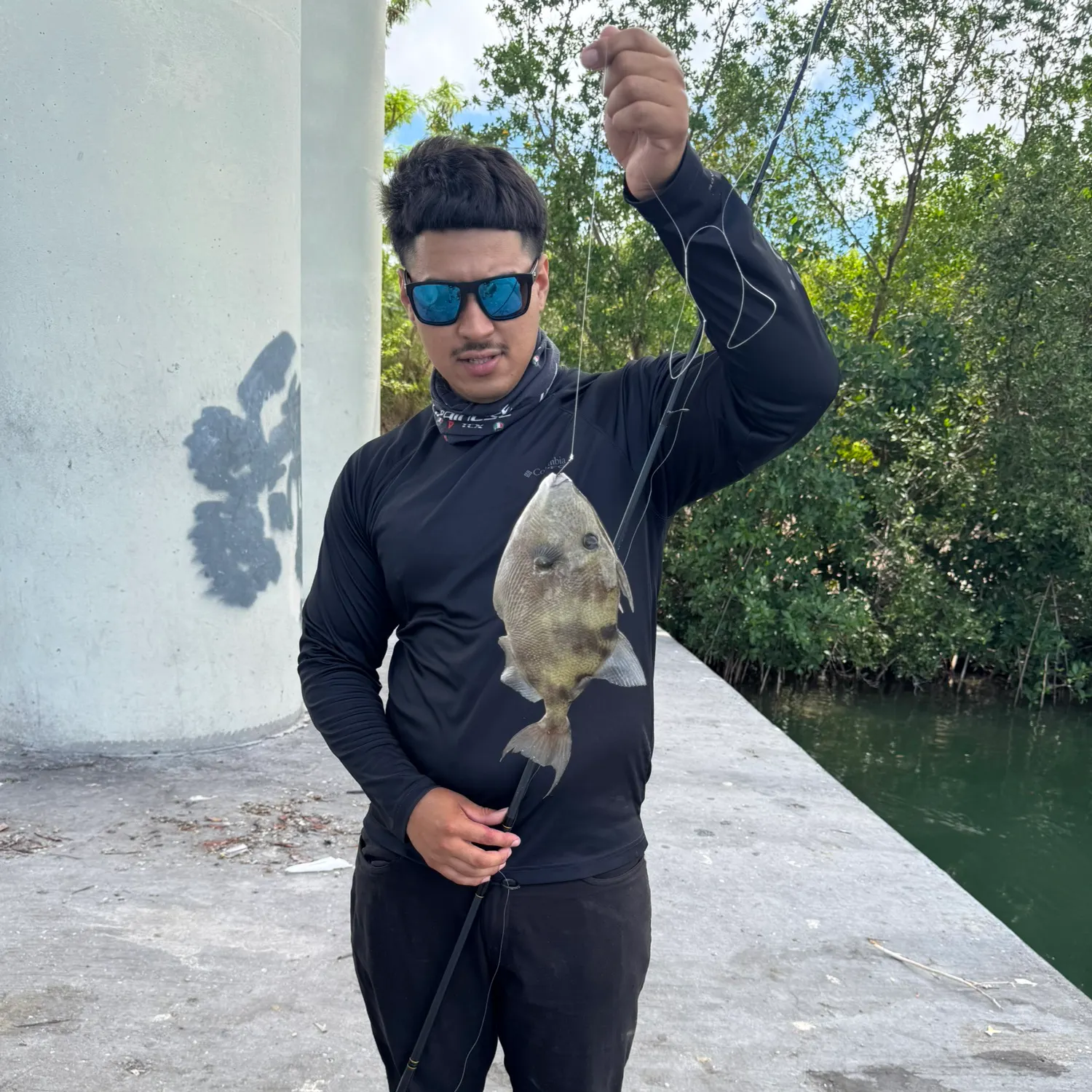 The most recent Grey triggerfish catches on Fishbrain