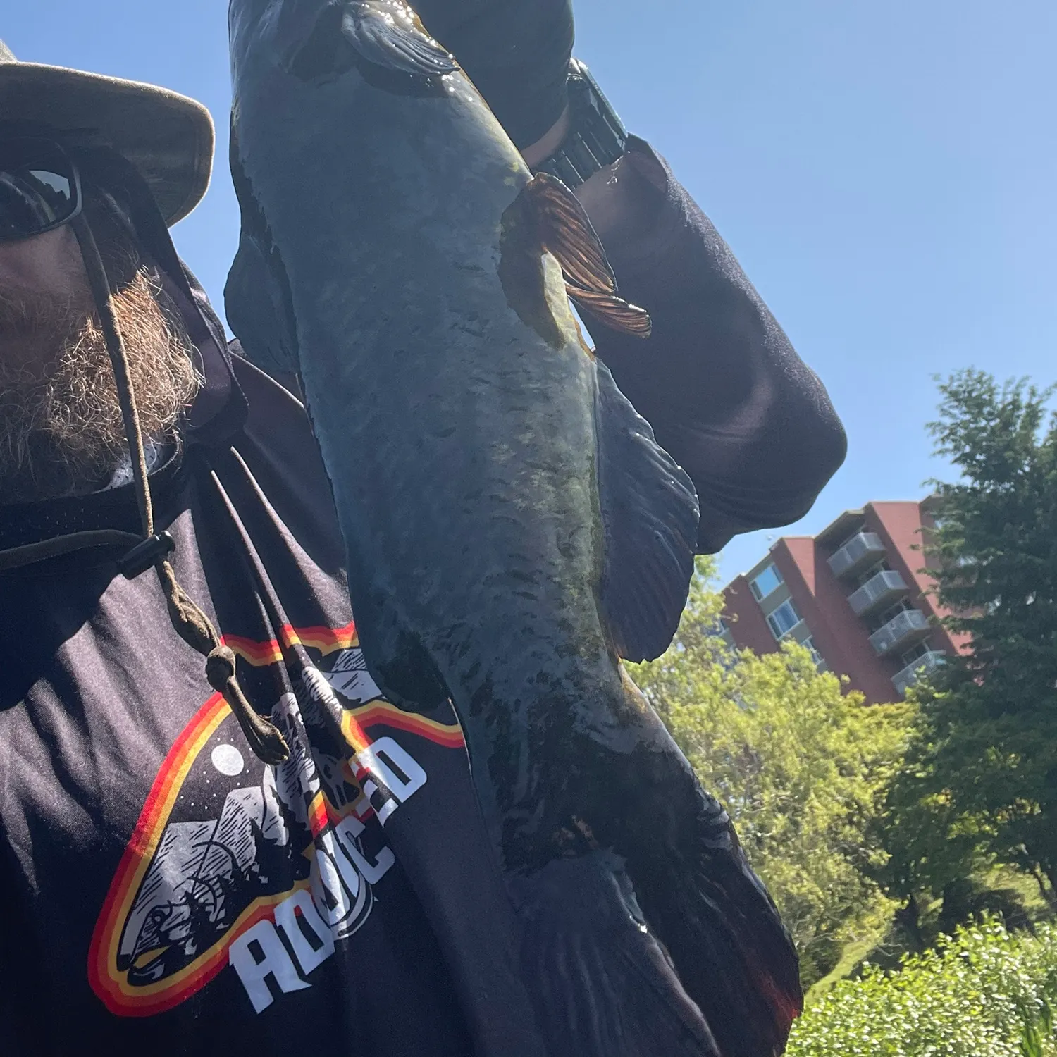 most liked catch image