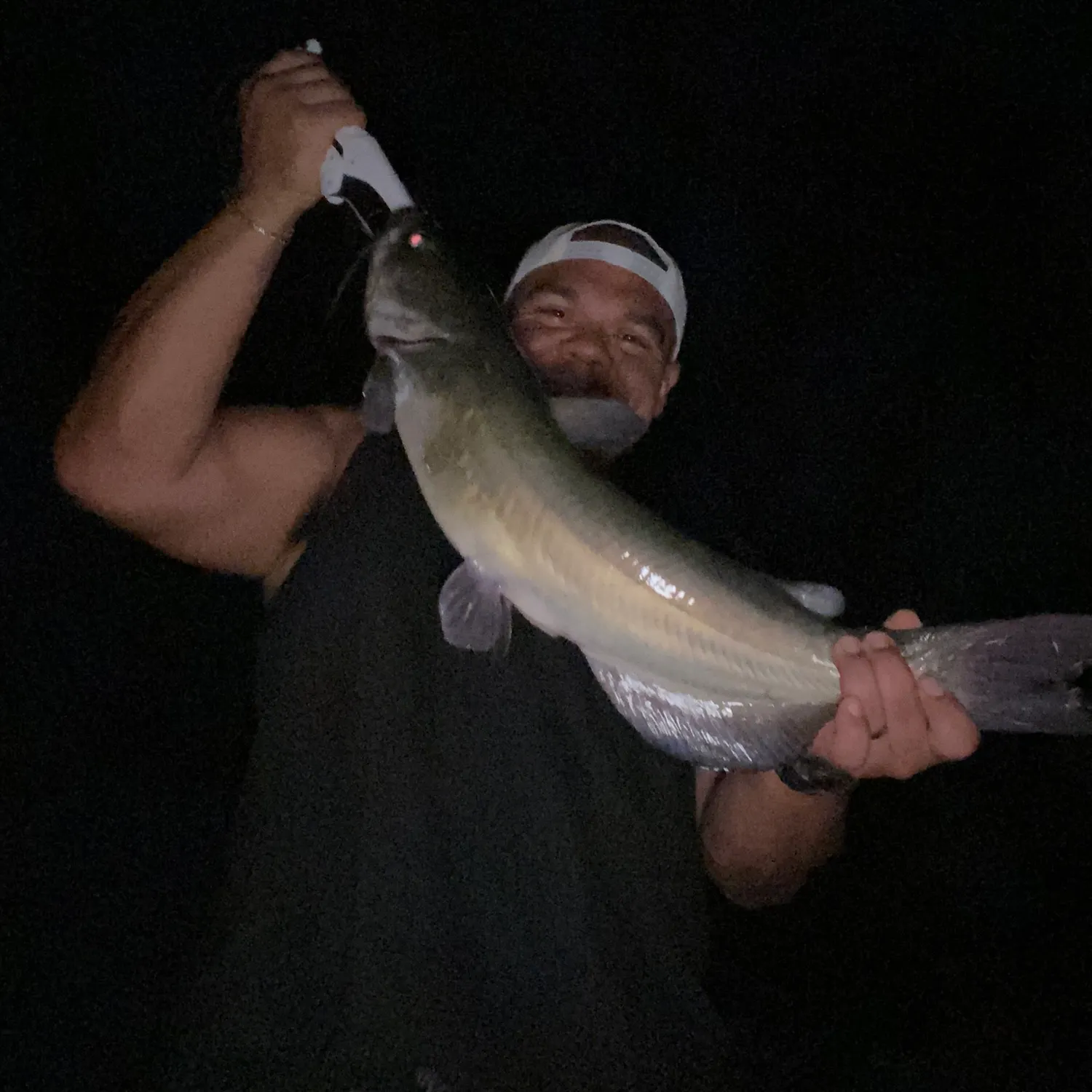 Blue catfish caught on Fishbrain