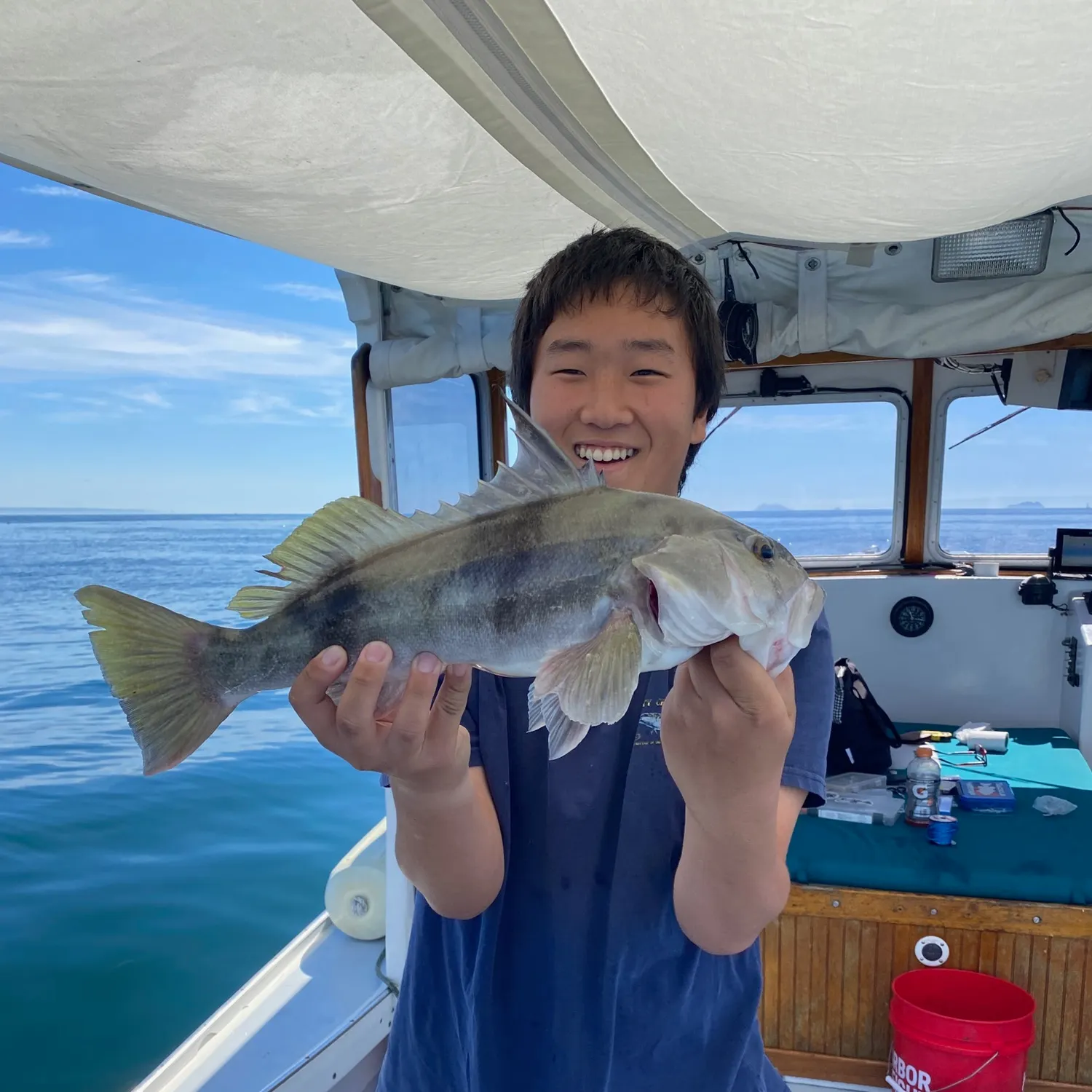 The most recent Barred sand bass catches on Fishbrain