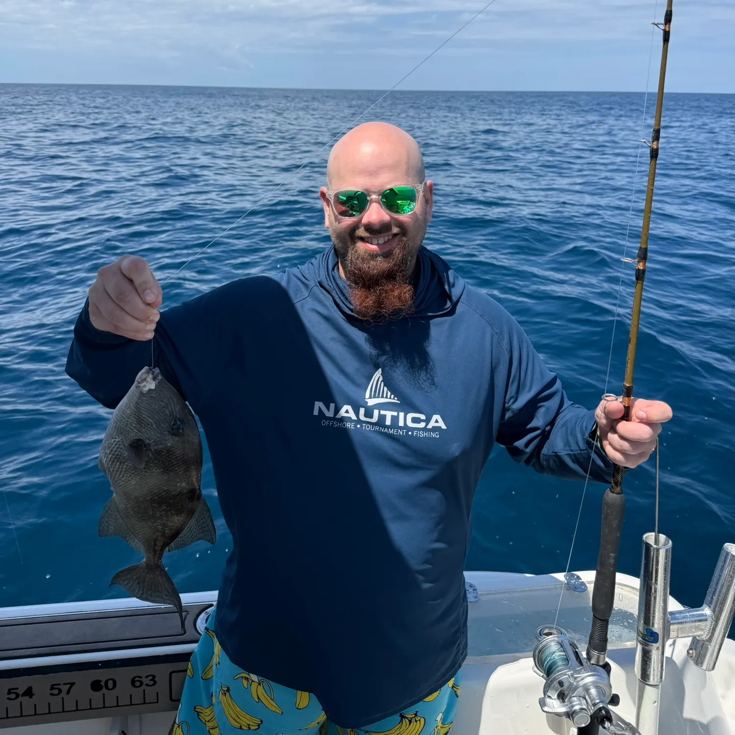 The most recent Grey triggerfish catches on Fishbrain