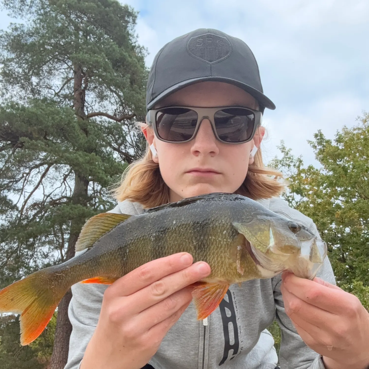 European perch caught on Fishbrain