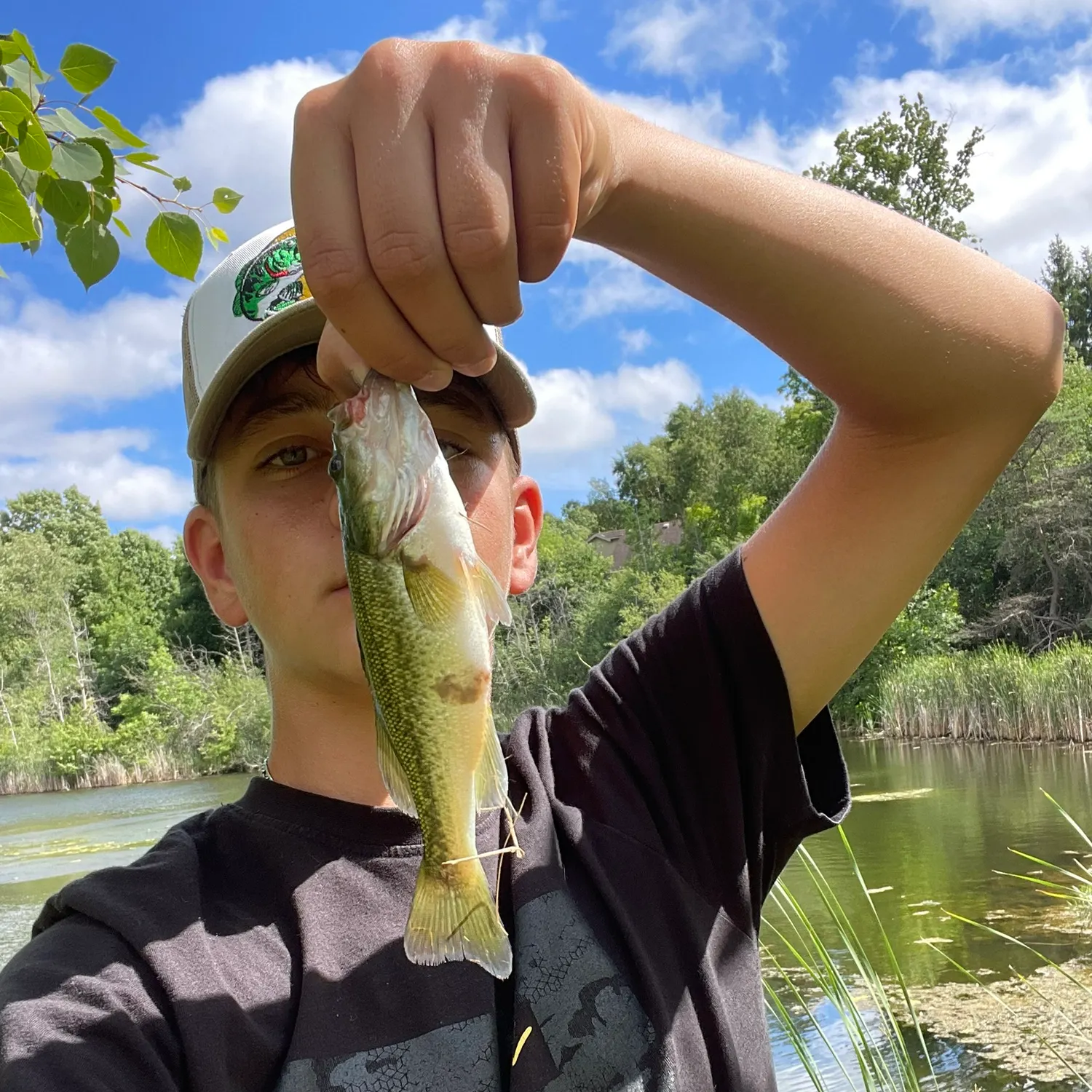 The most recent Smallmouth bass catches on Fishbrain
