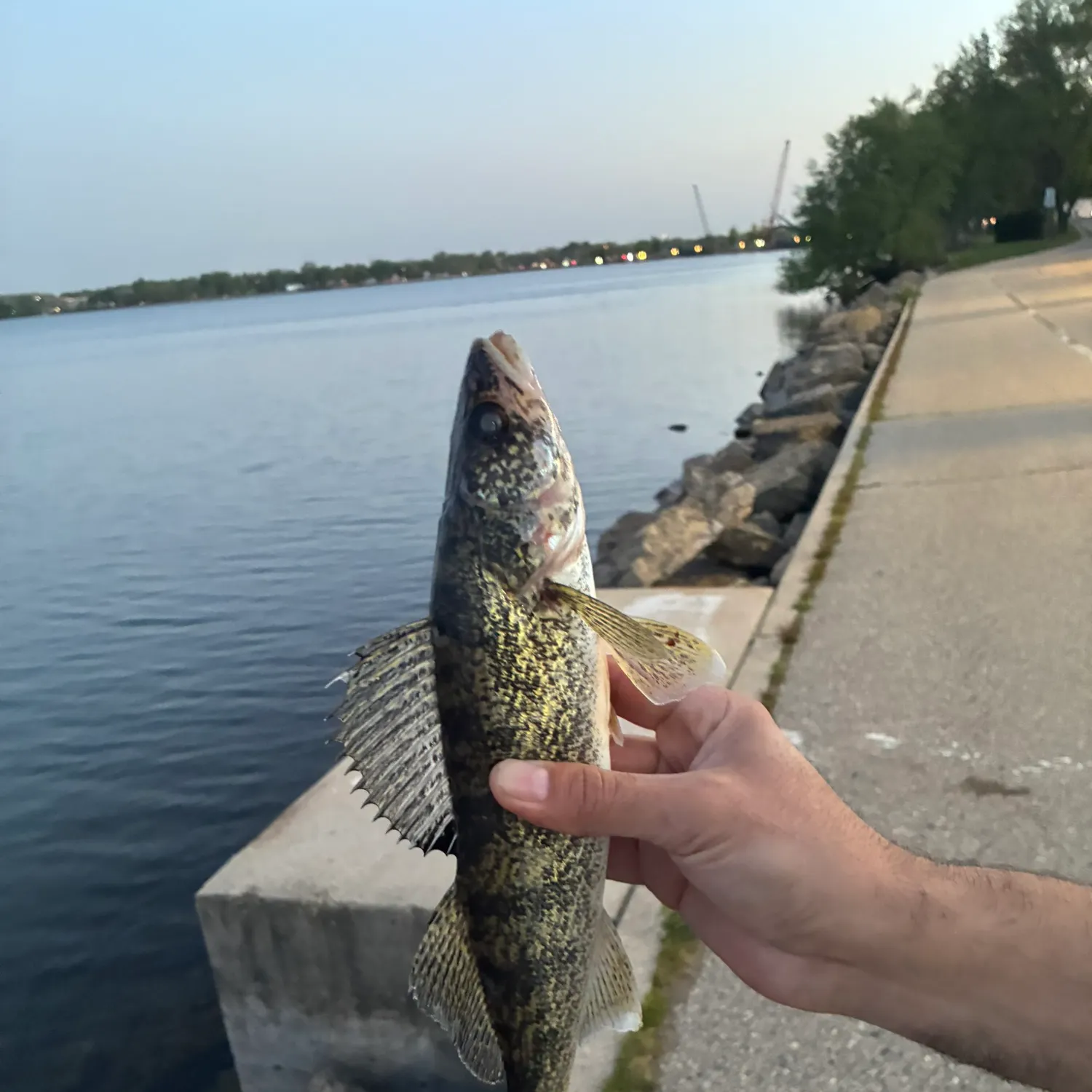 catch
