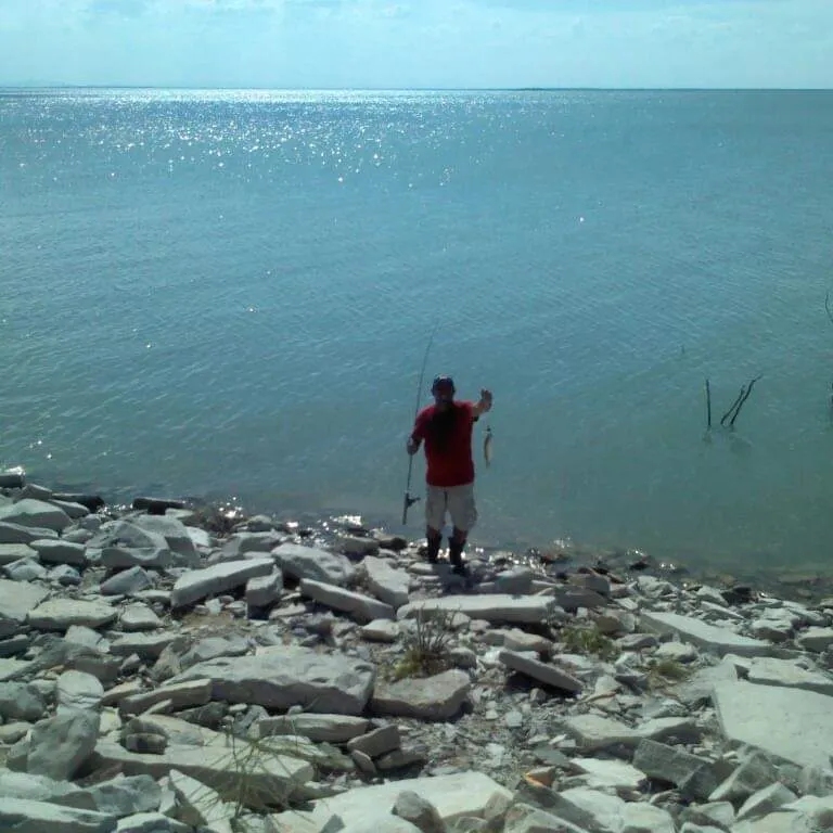 Channel catfish caught on Fishbrain