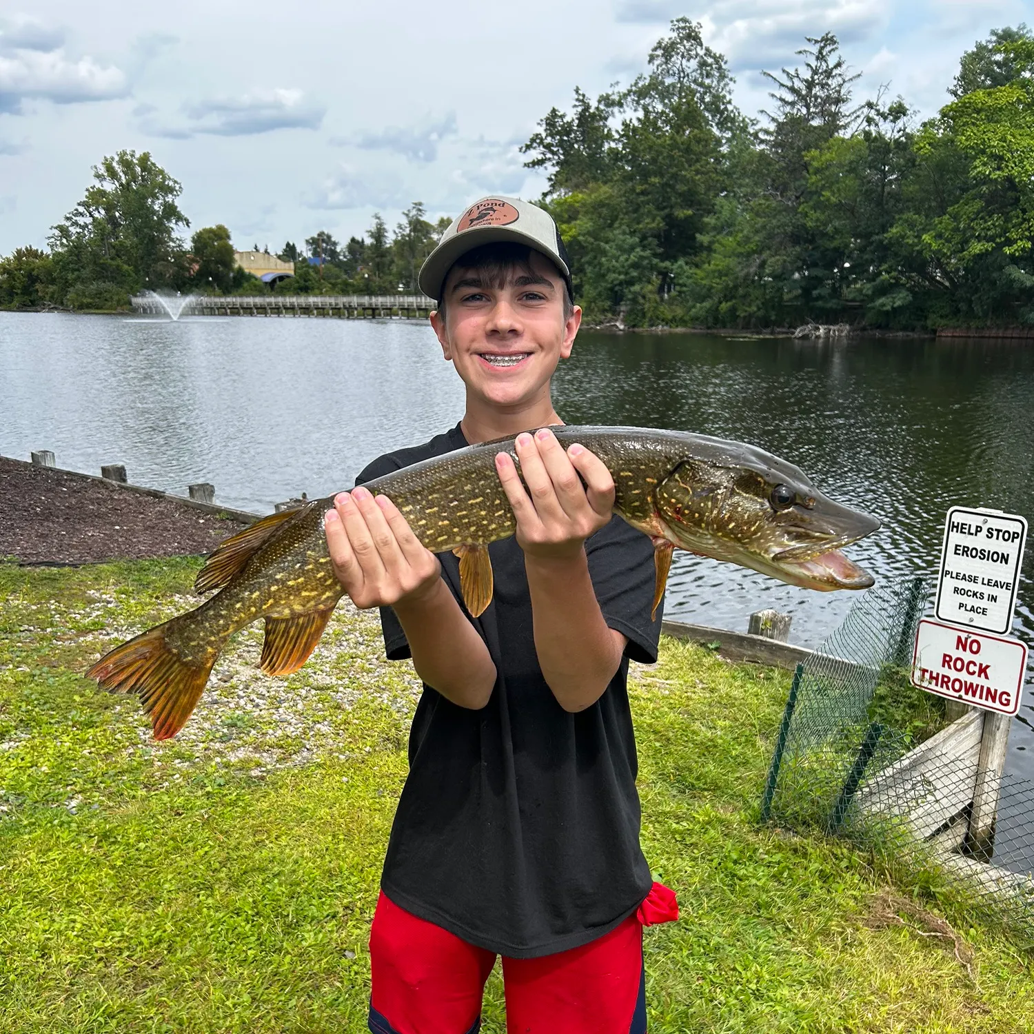 Northern pike caught on Fishbrain