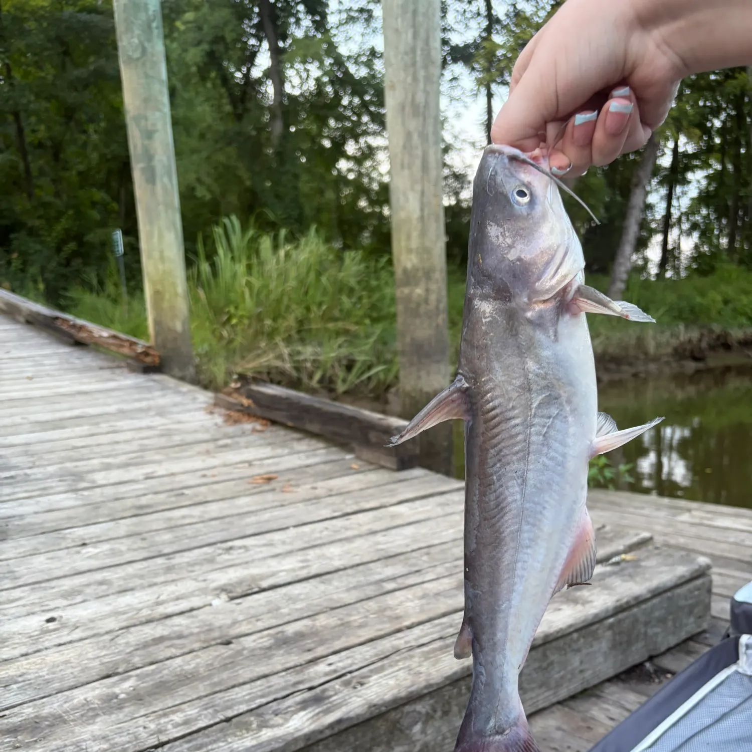 catch