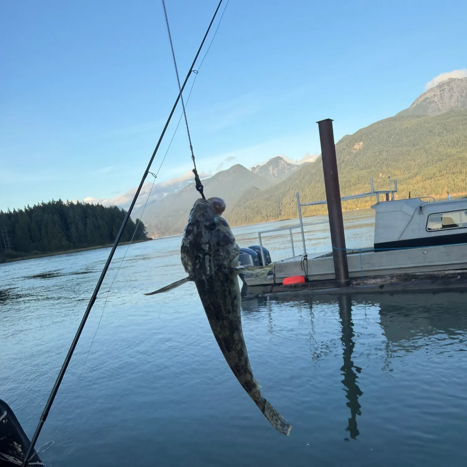 Prickly sculpin caught on Fishbrain