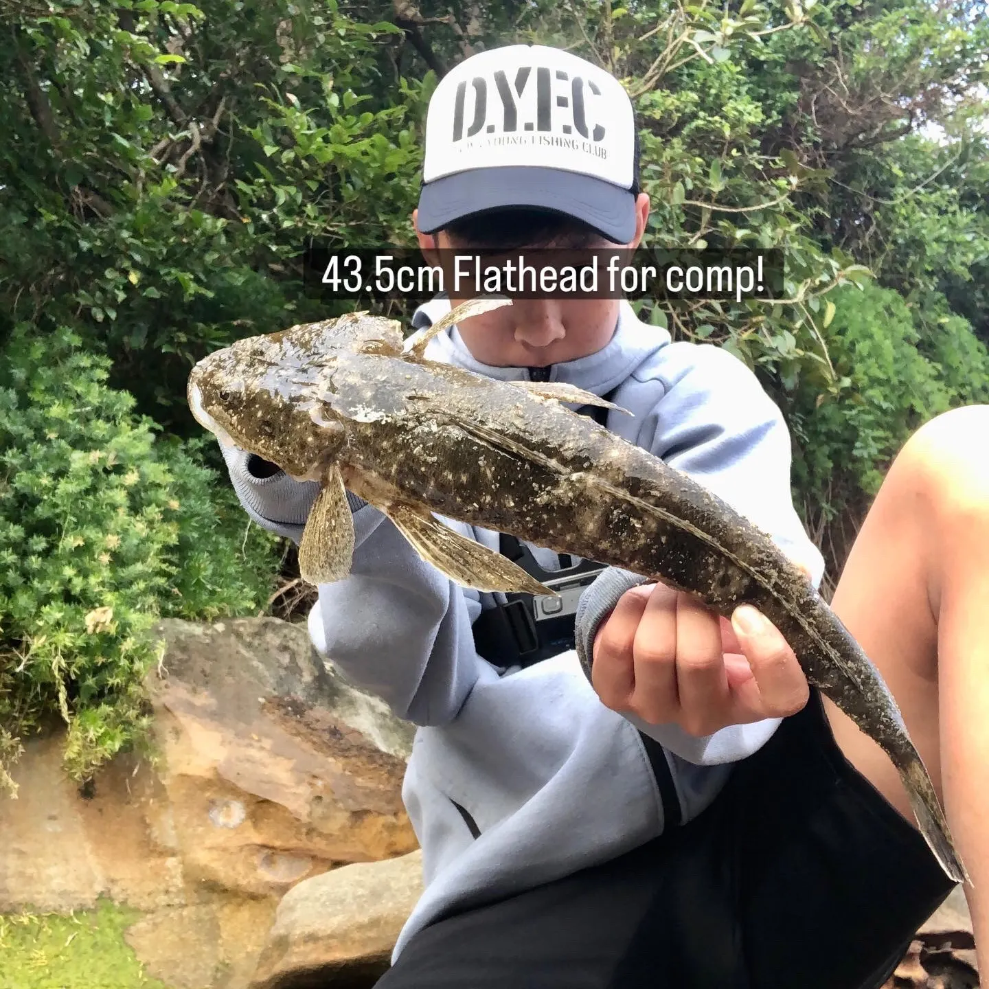 The most recent Dusky flathead catches on Fishbrain