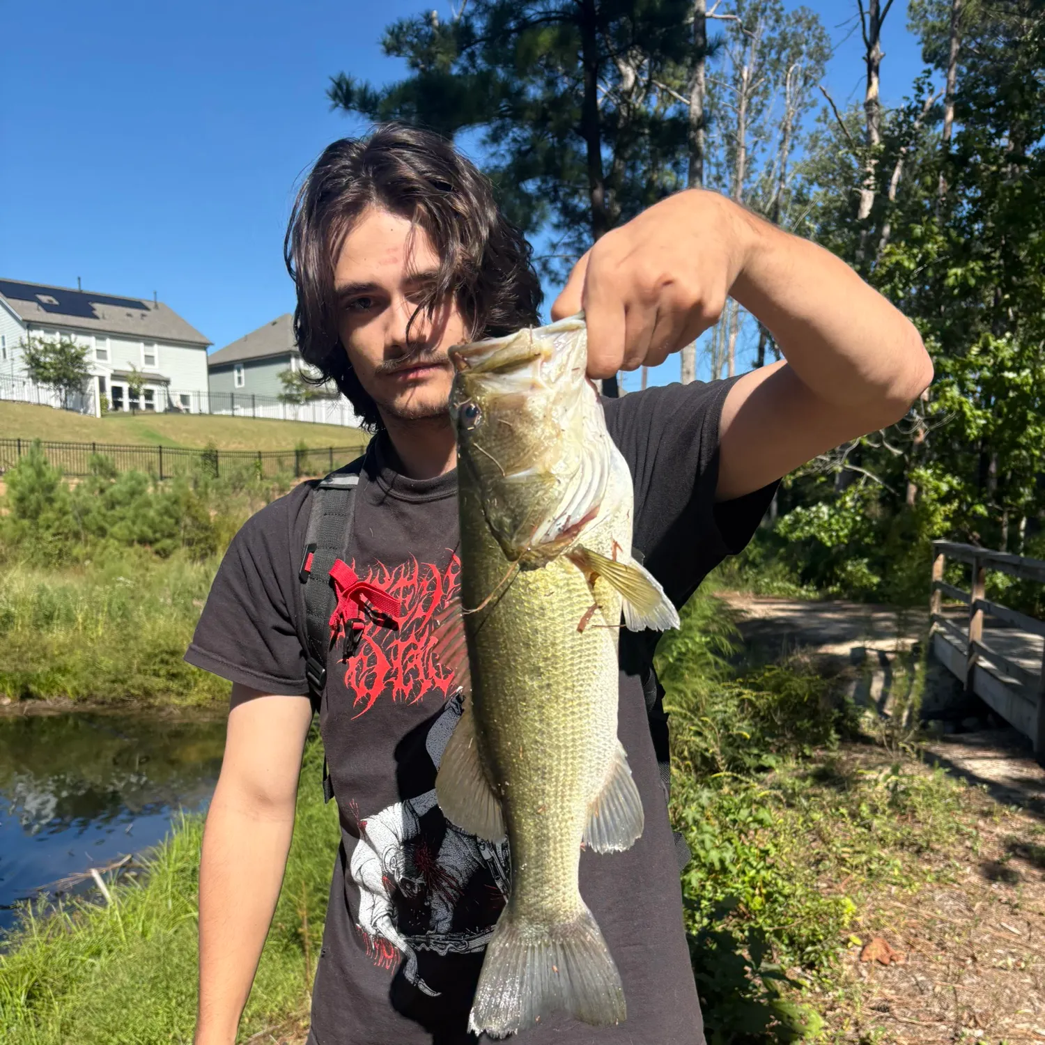 Largemouth bass caught on Fishbrain