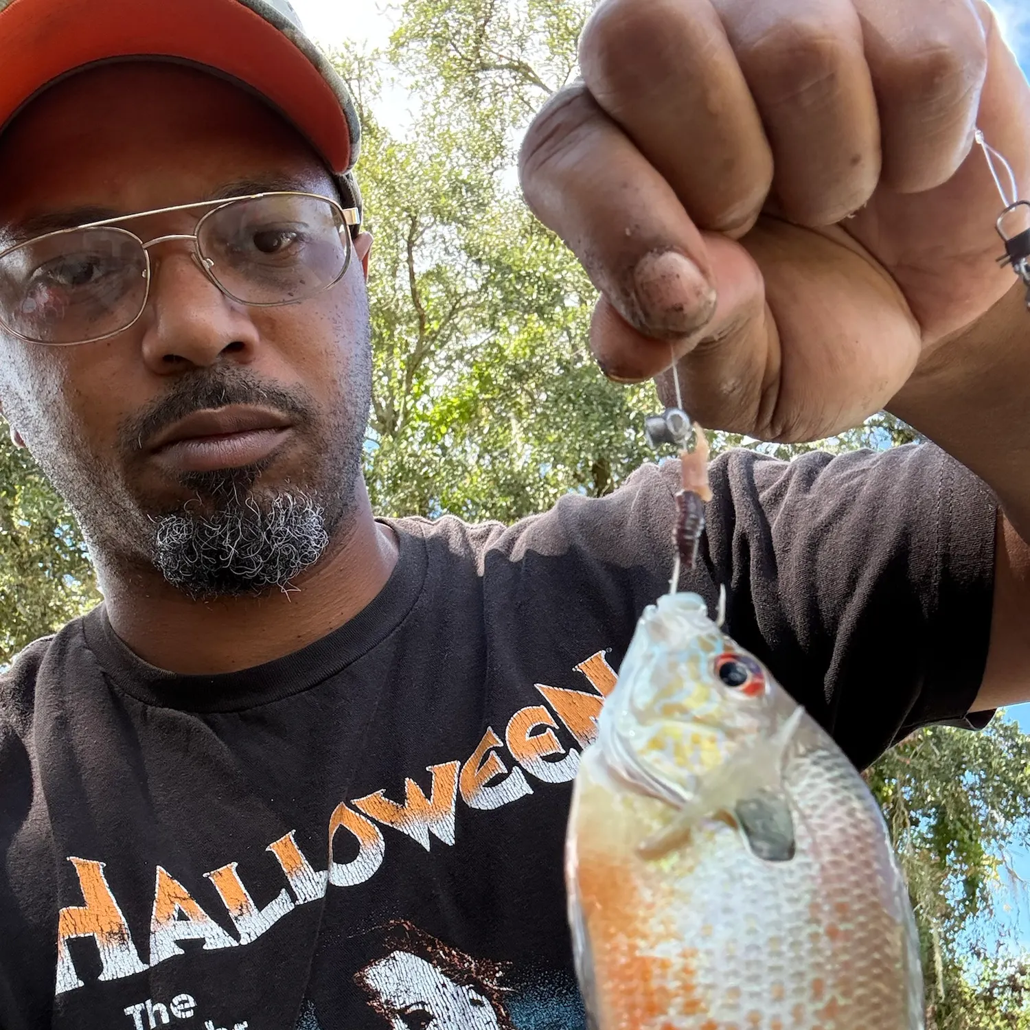 Longear sunfish caught on Fishbrain