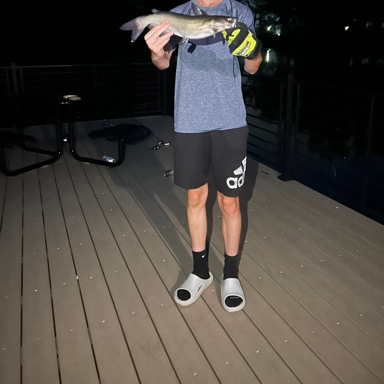 Channel catfish caught on Fishbrain